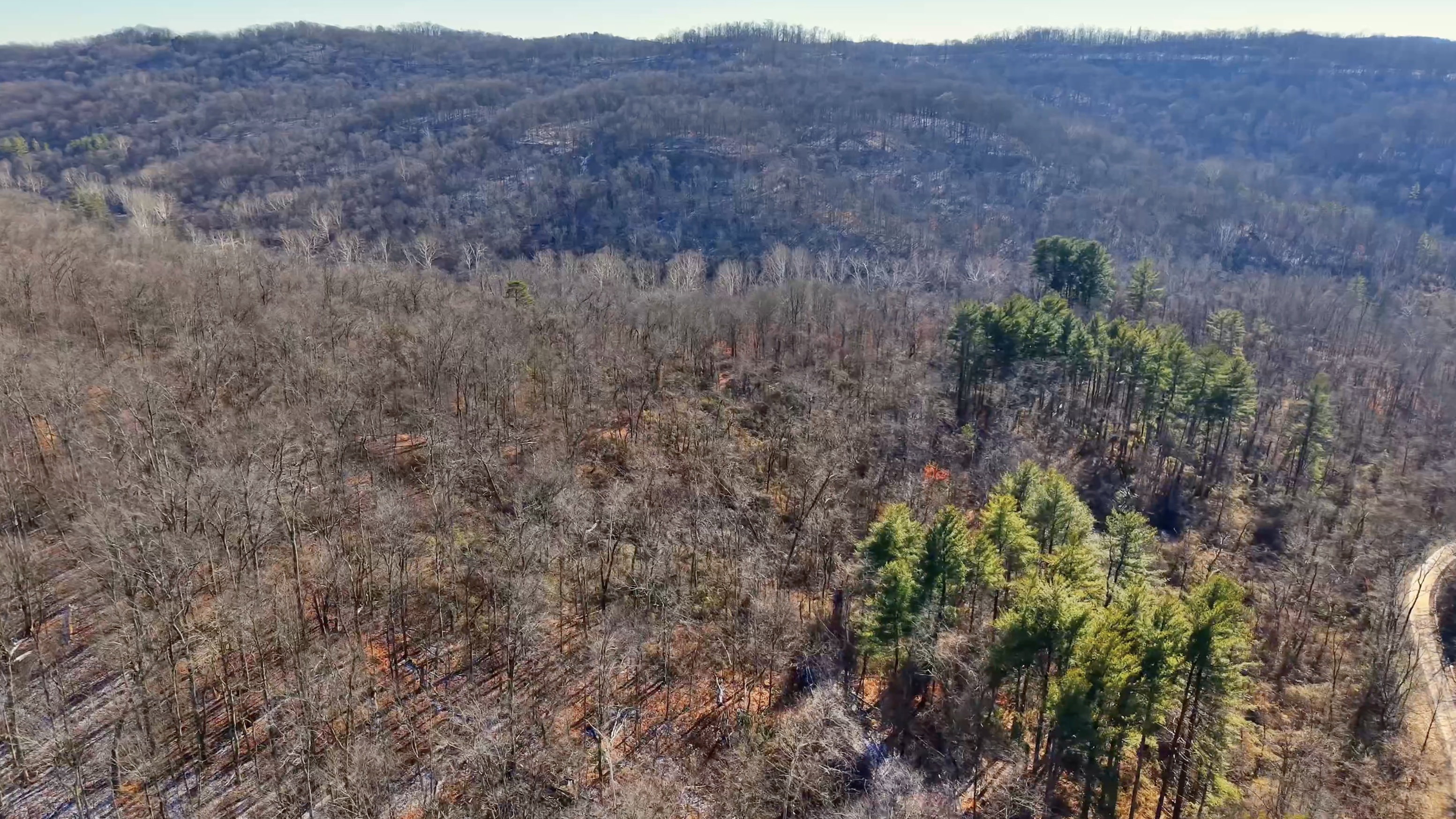 Brooks Rd Lot 3 - 34 Acres in Washington County, OH - Photo 7