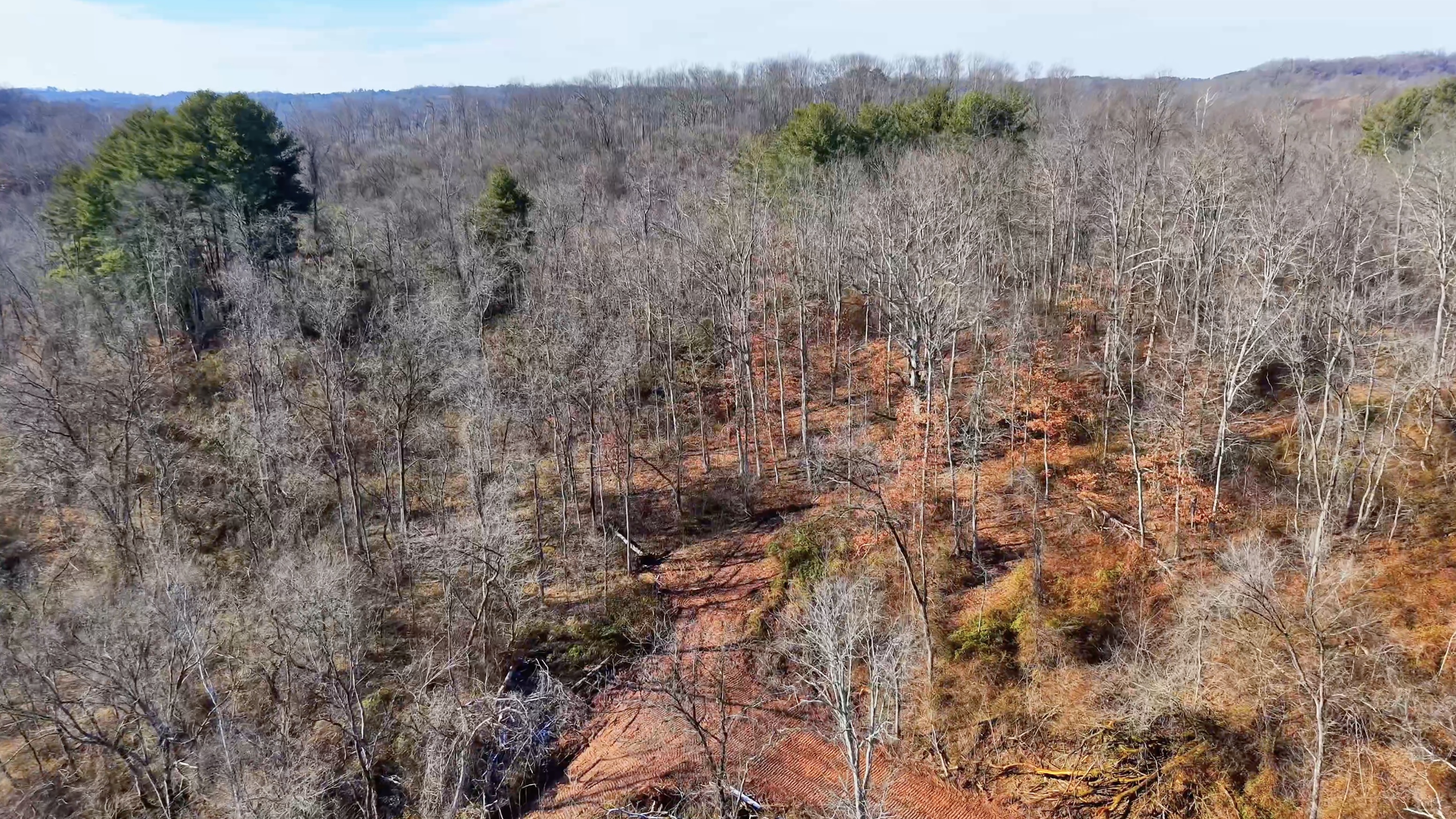 Brooks Rd Lot 3 - 34 Acres in Washington County, OH - Photo 10