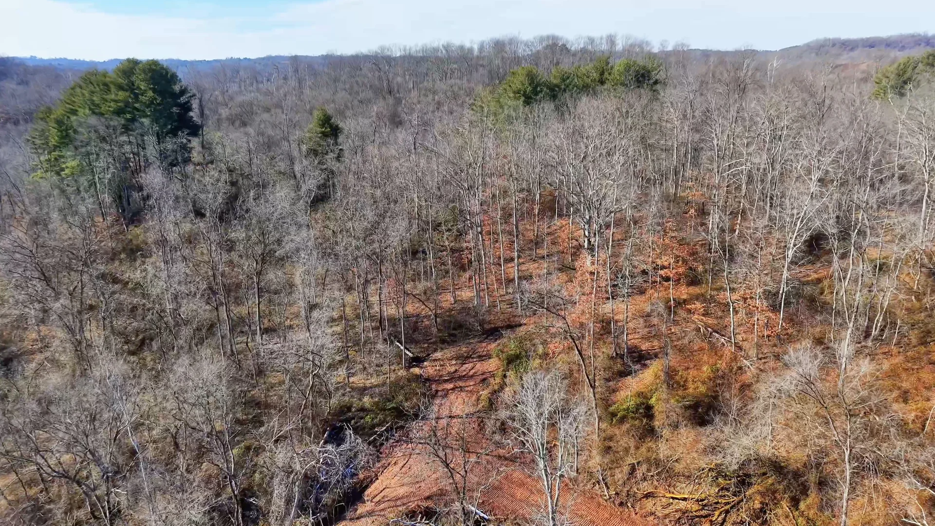 Brooks Rd Lot 3 - 34 Acres in Washington County, OH - Photo 10