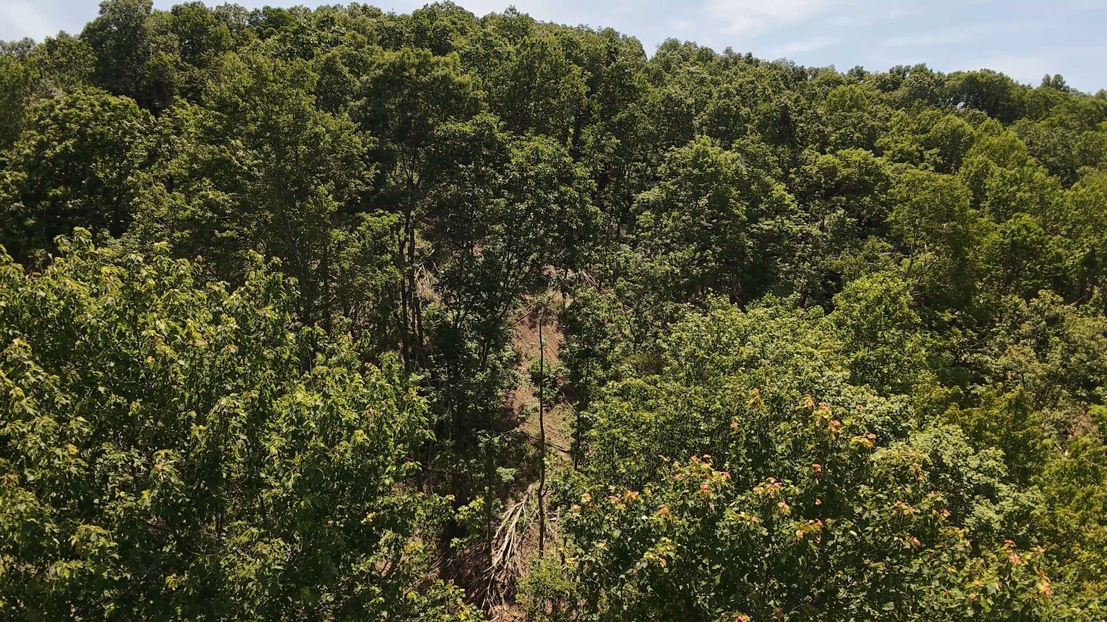 0 Moats Hollow Rd - 38 Acres in Pike County, OH - Photo 11