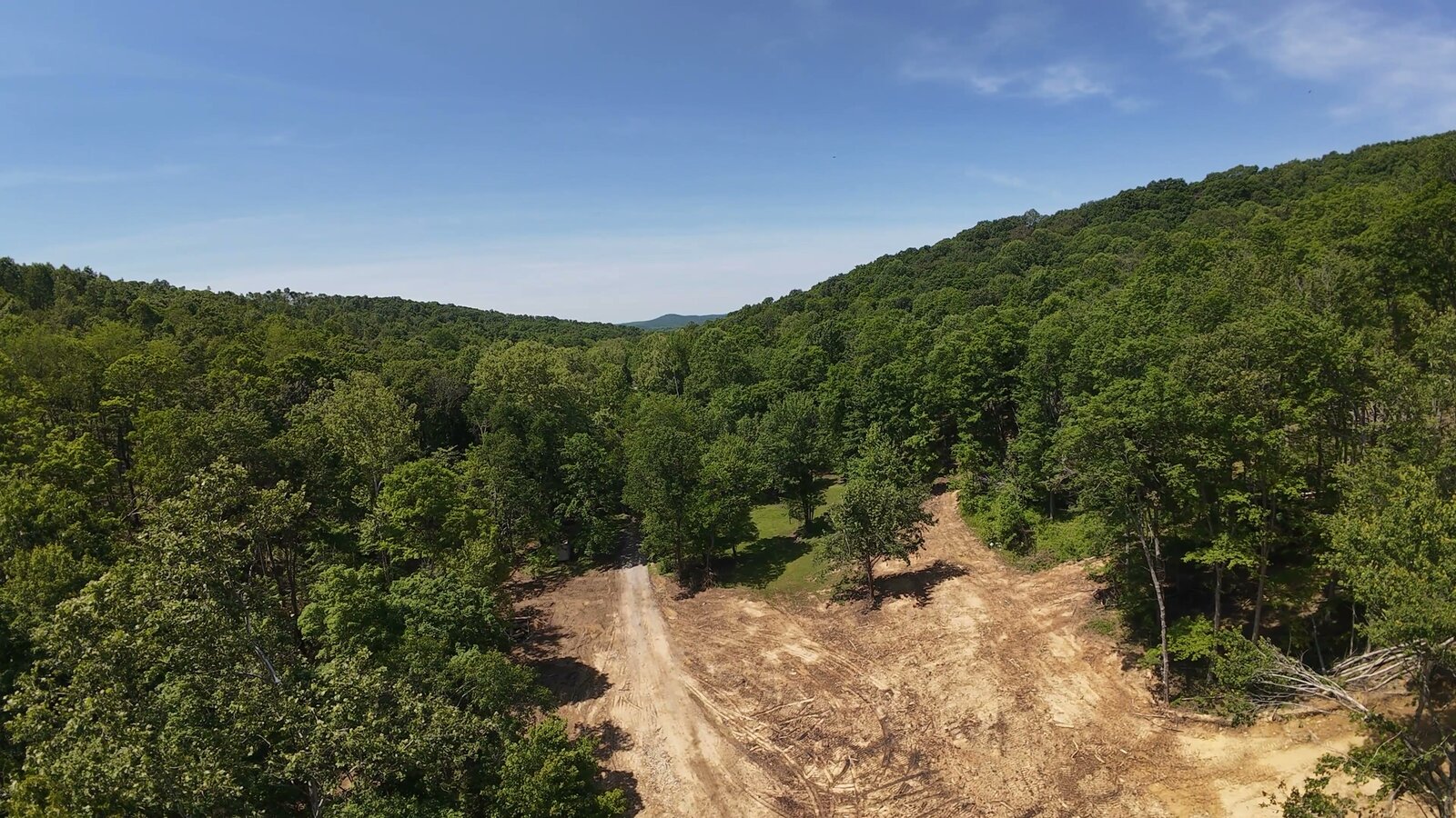 0 Moats Hollow Rd - 38 Acres in Pike County, OH - Photo 12