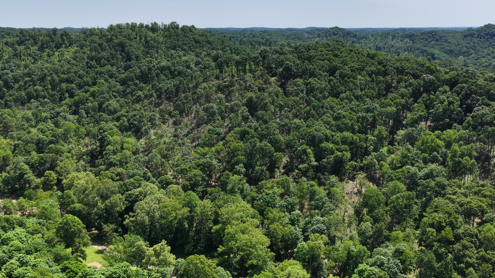 0 Moats Hollow Rd - 38 Acres in Pike County, OH - Photo 14