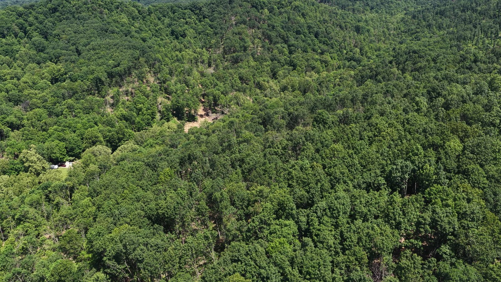 0 Moats Hollow Rd - 38 Acres in Pike County, OH - Photo 16