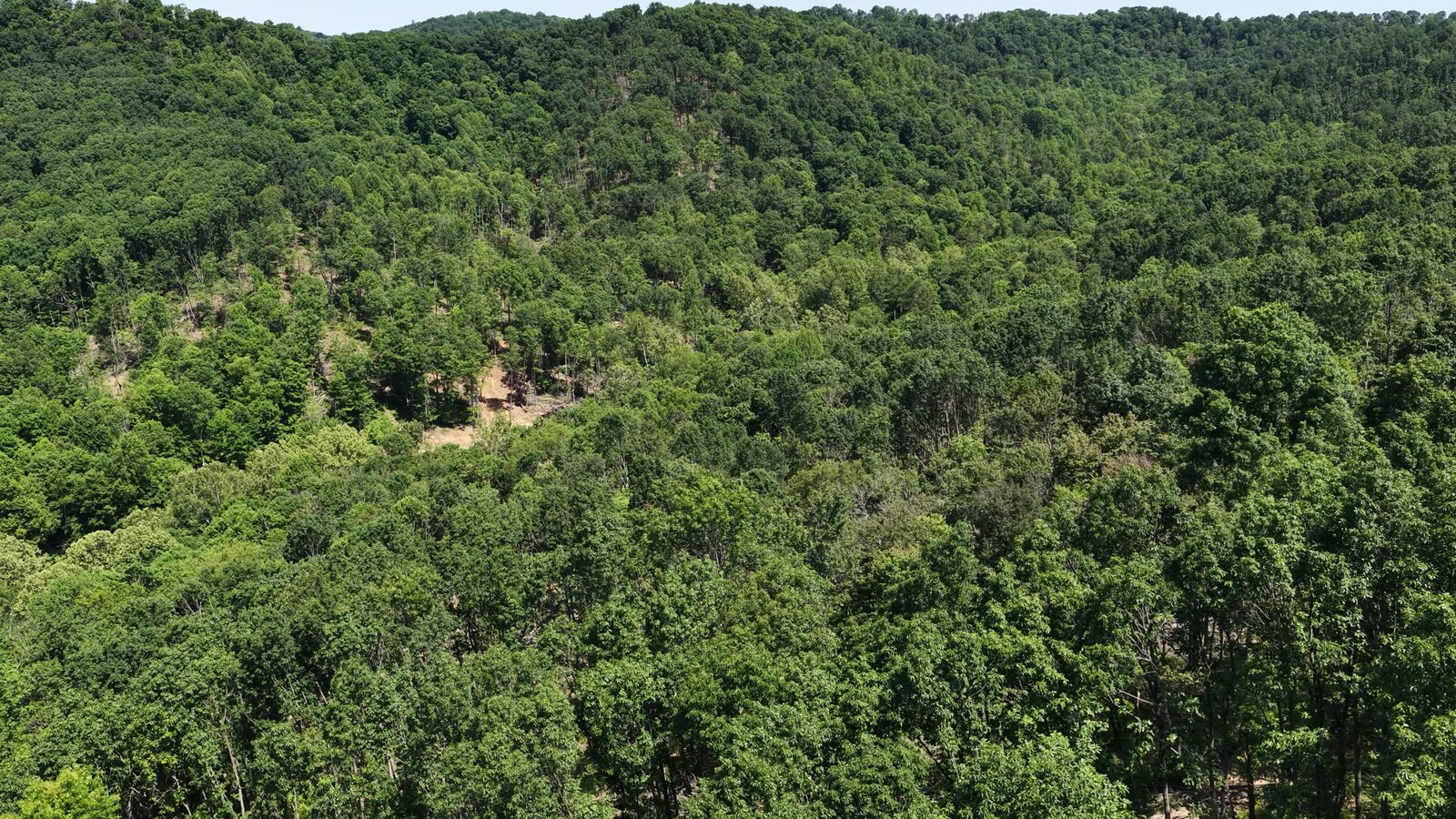 0 Moats Hollow Rd - 38 Acres in Pike County, OH - Photo 17