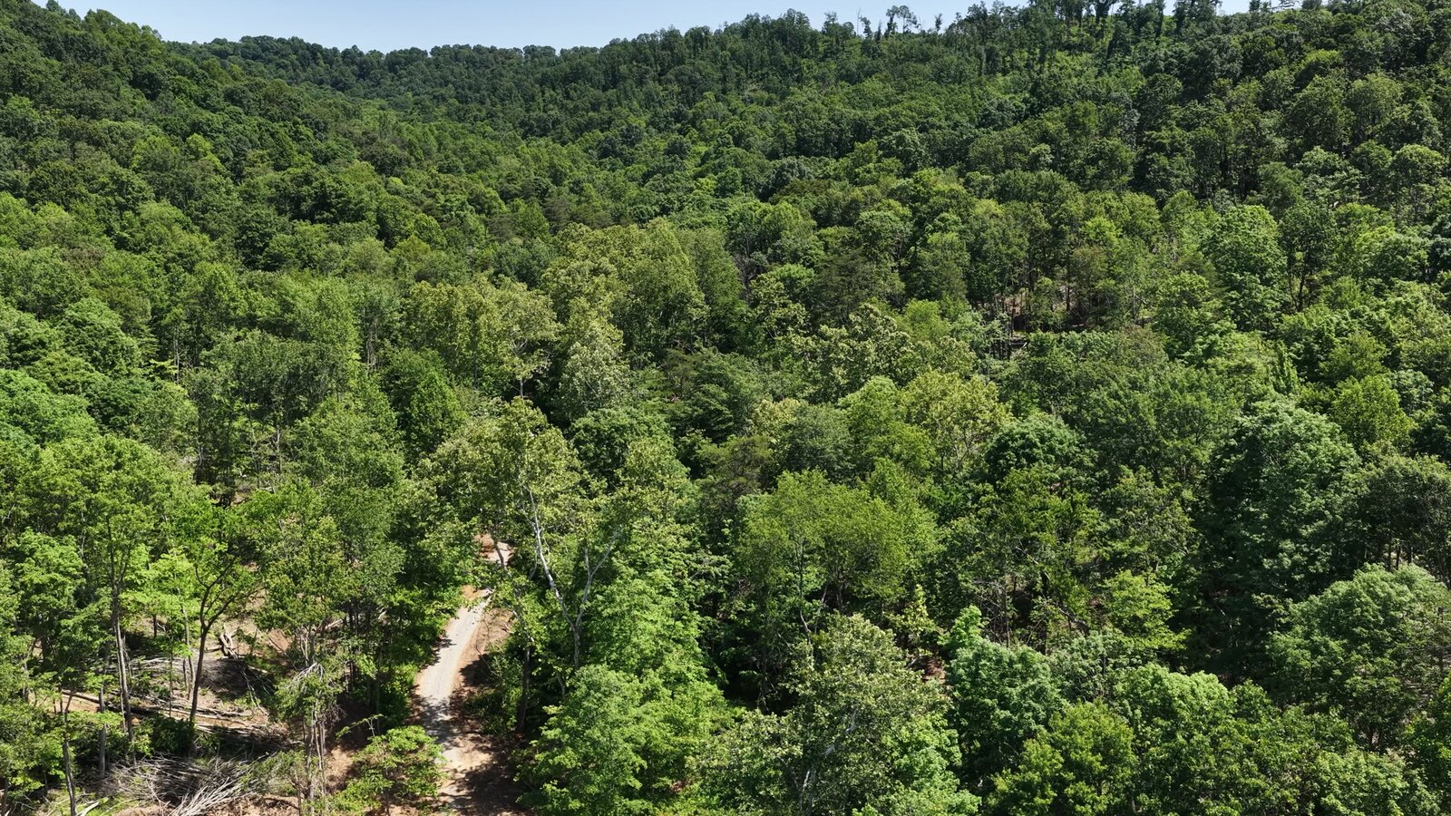0 Moats Hollow Rd - 38 Acres in Pike County, OH - Photo 20