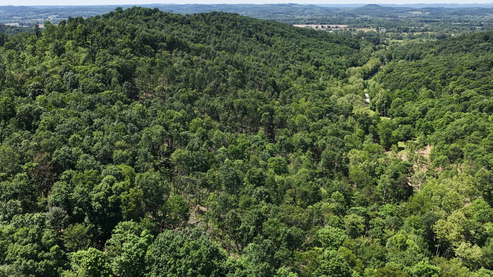 0 Moats Hollow Rd - 38 Acres in Pike County, OH - Photo 23