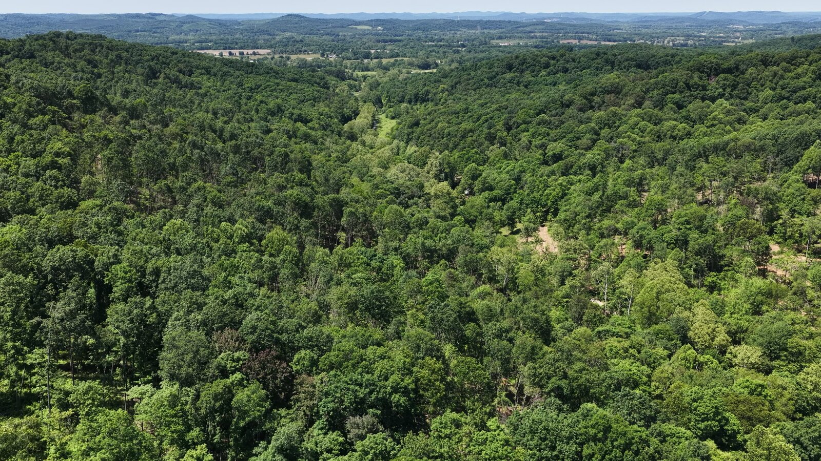 0 Moats Hollow Rd - 38 Acres in Pike County, OH - Photo 24