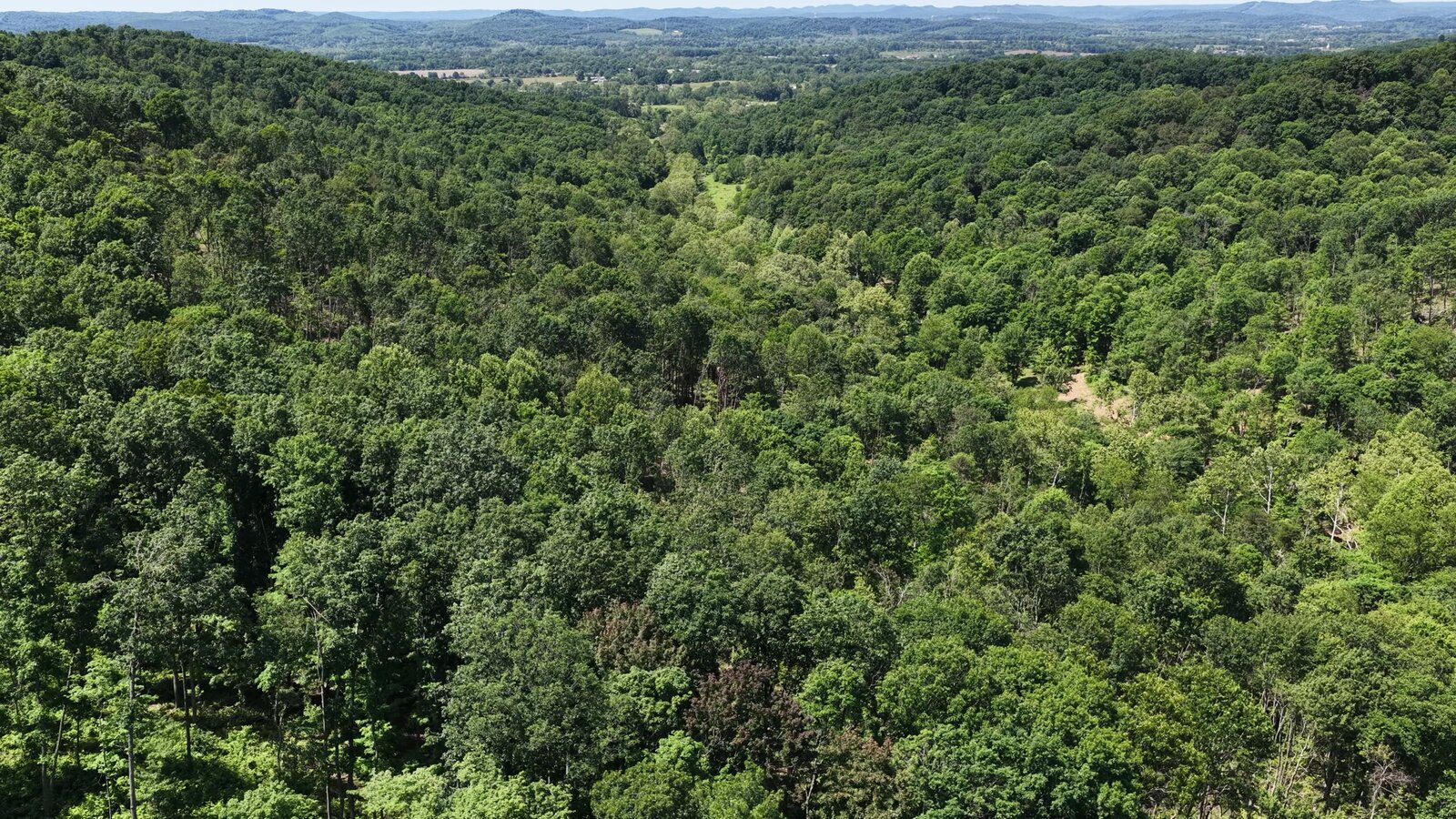 0 Moats Hollow Rd - 38 Acres in Pike County, OH - Photo 25