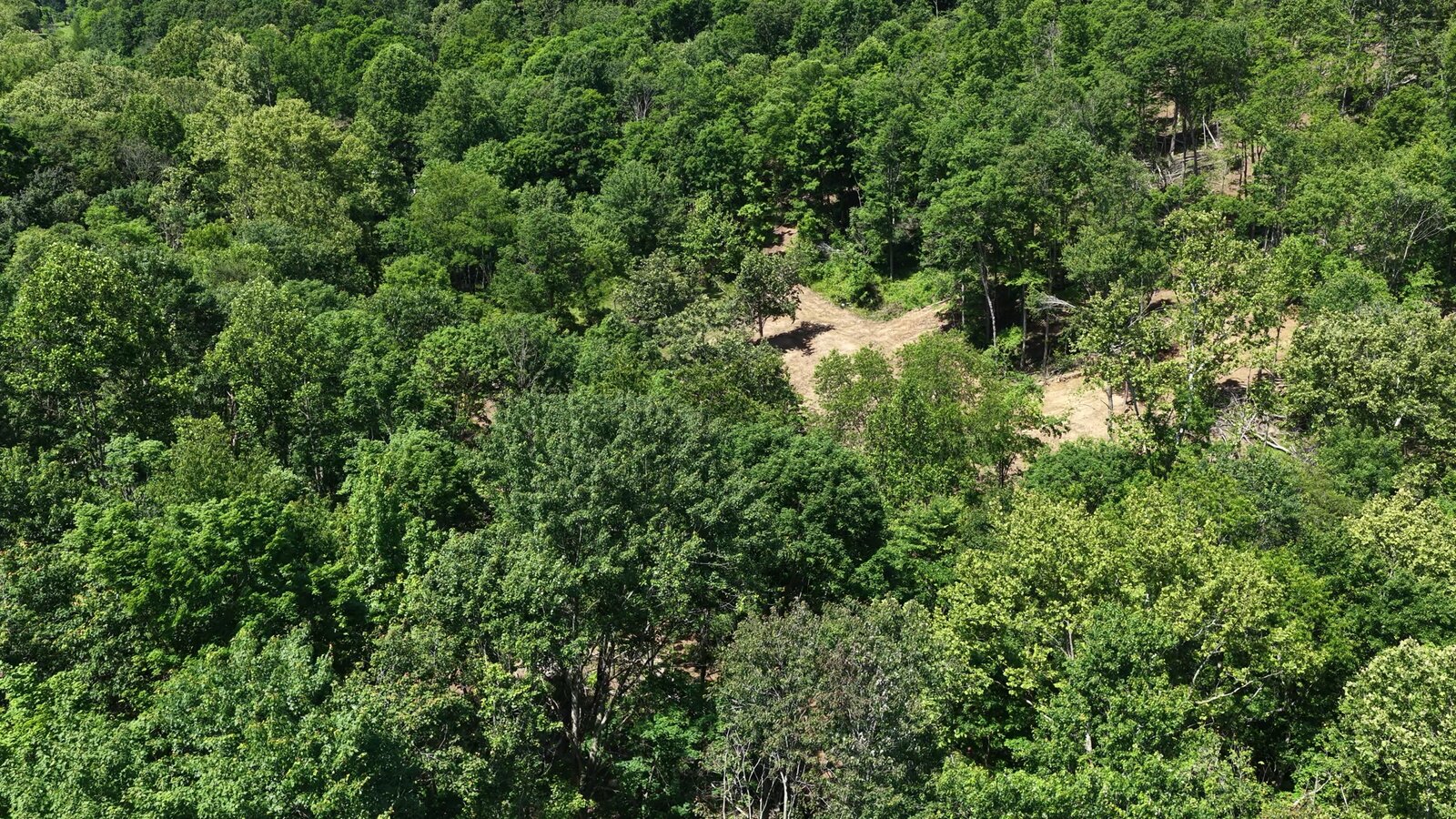 0 Moats Hollow Rd - 38 Acres in Pike County, OH - Photo 27