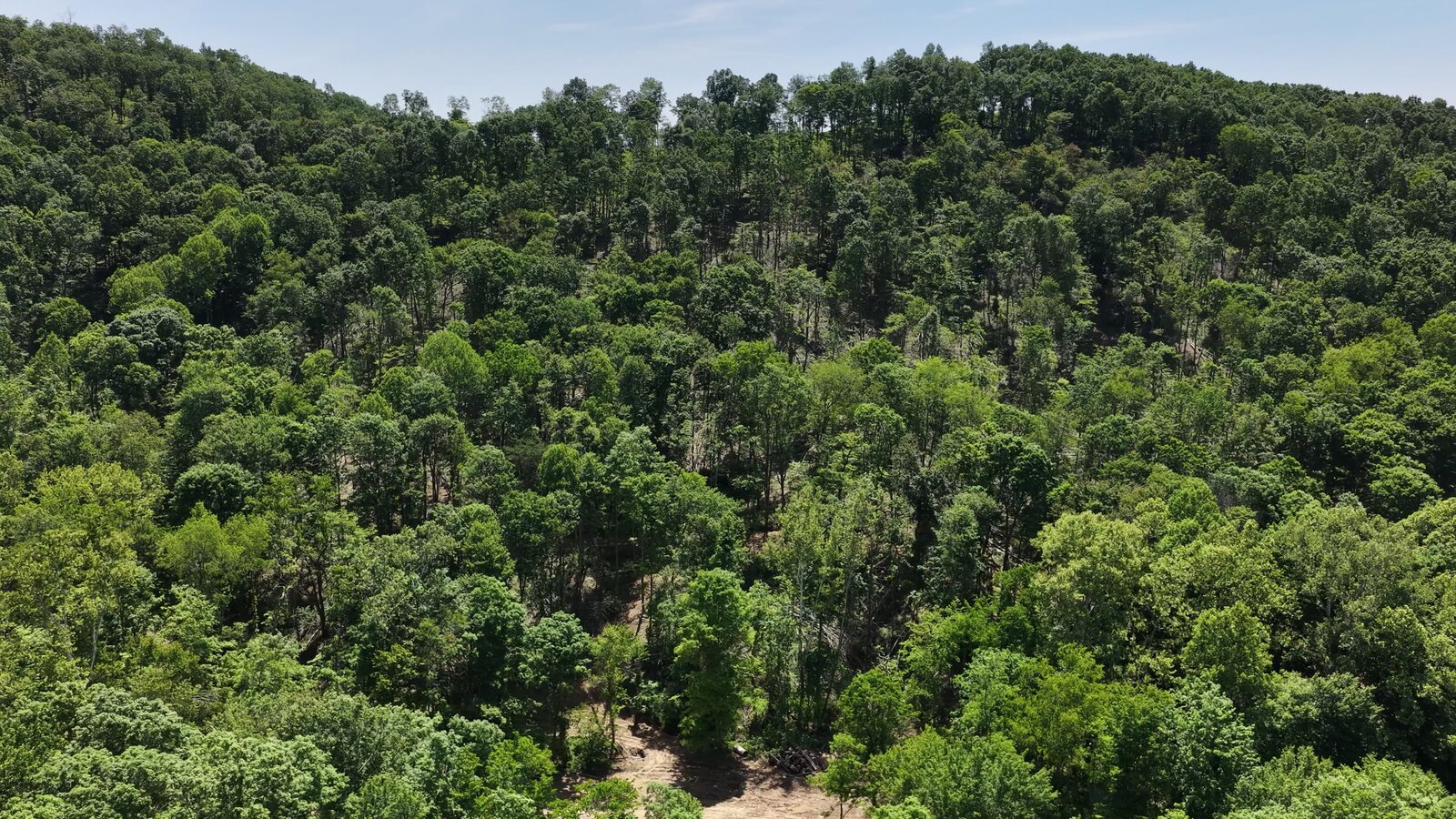 0 Moats Hollow Rd - 38 Acres in Pike County, OH - Photo 29