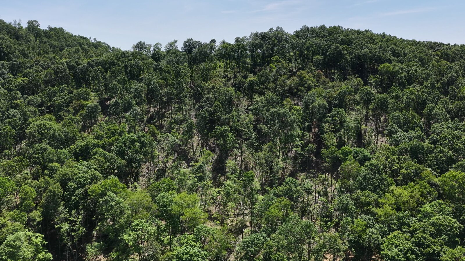 0 Moats Hollow Rd - 38 Acres in Pike County, OH - Photo 30