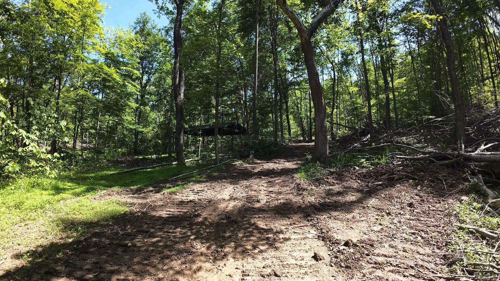 0 Moats Hollow Rd - 38 Acres in Pike County, OH - Photo 4