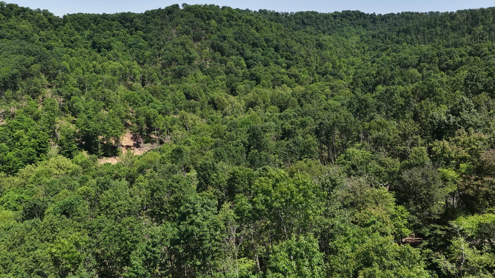0 Moats Hollow Rd - 38 Acres in Pike County, OH - Photo 31