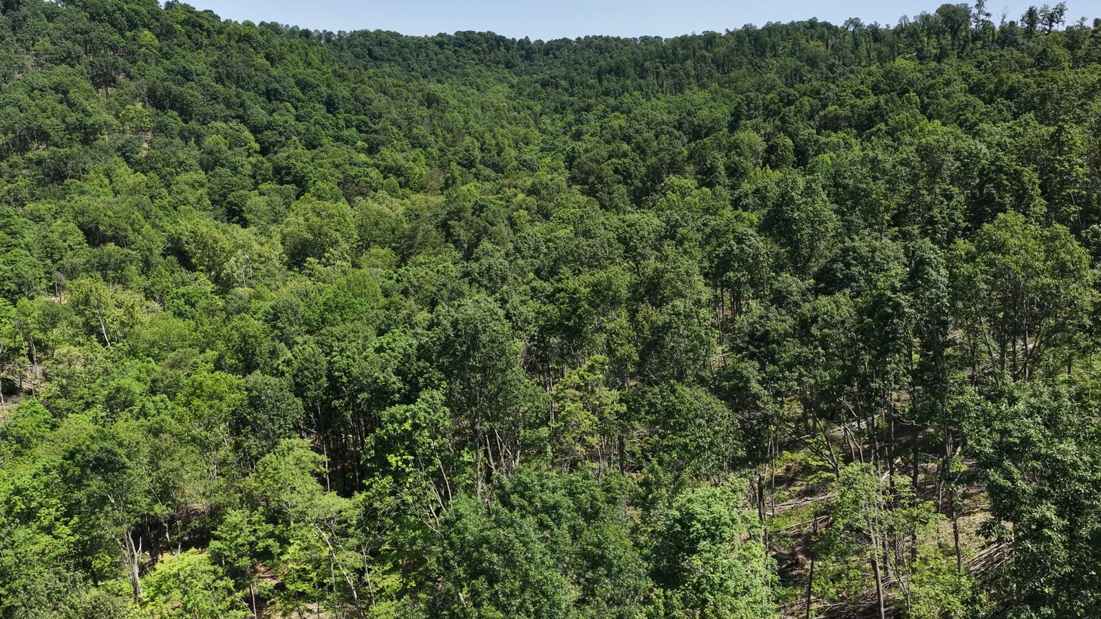 0 Moats Hollow Rd - 38 Acres in Pike County, OH - Photo 32