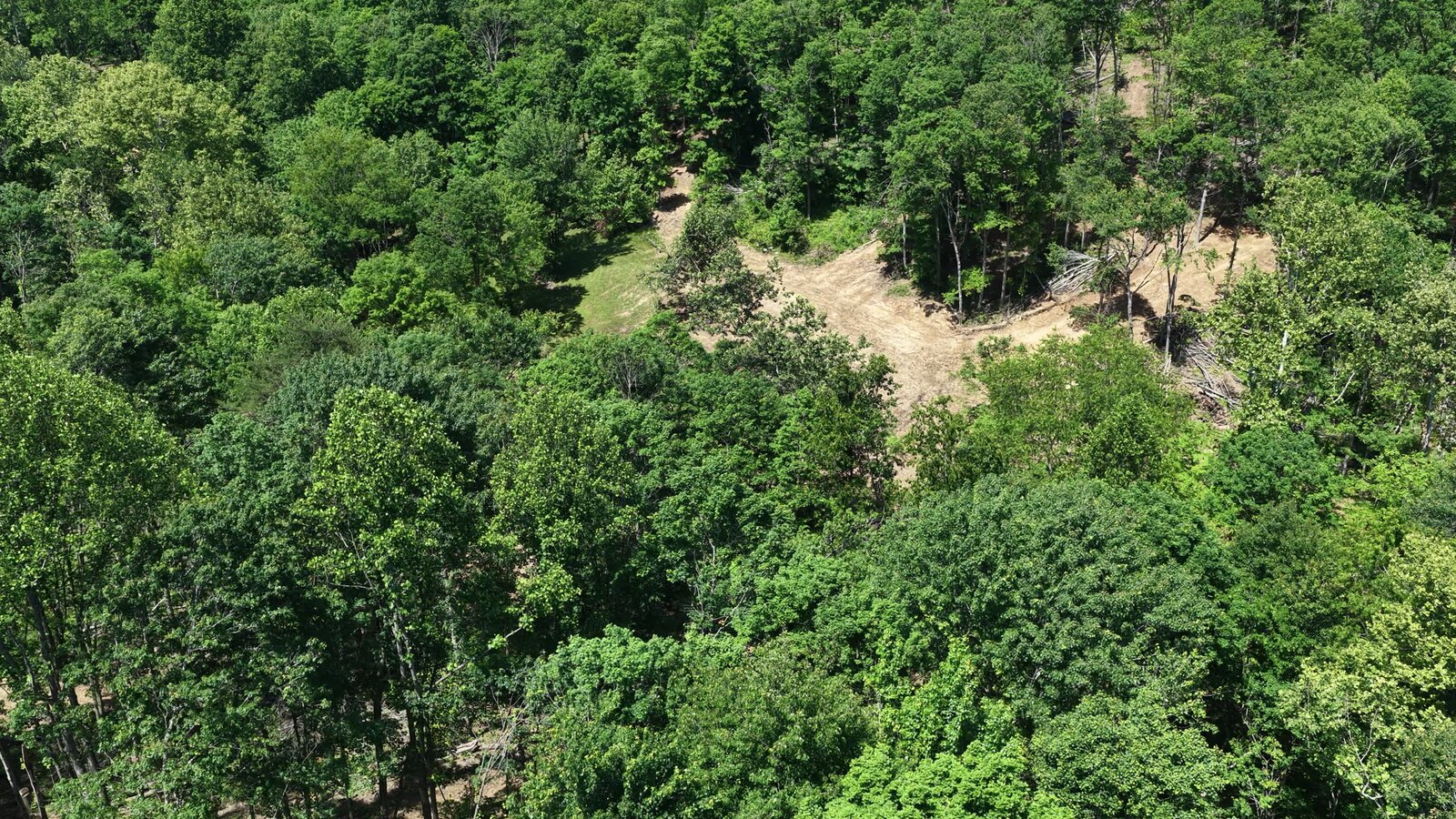 0 Moats Hollow Rd - 38 Acres in Pike County, OH - Photo 33