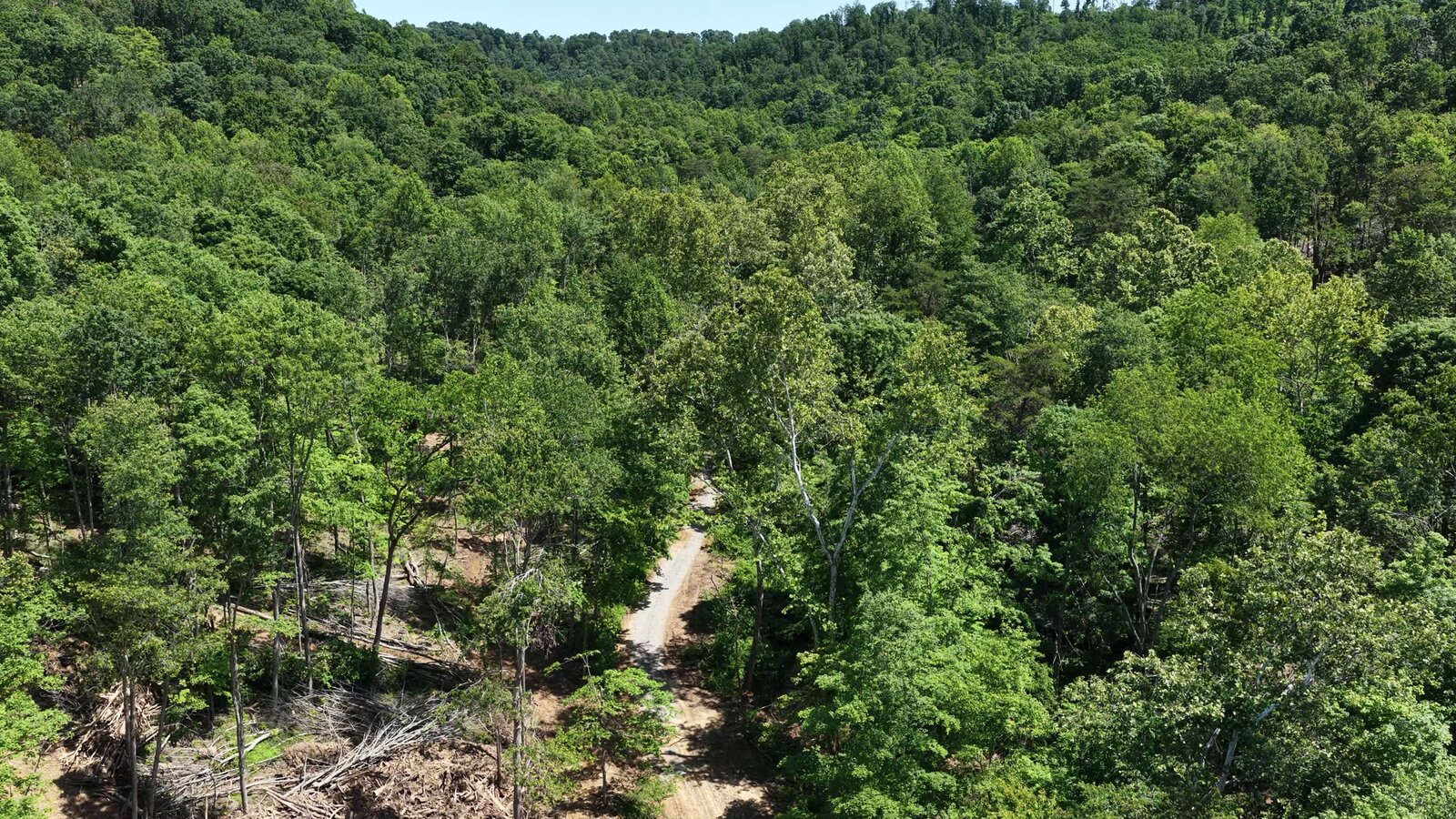 0 Moats Hollow Rd - 38 Acres in Pike County, OH - Photo 34