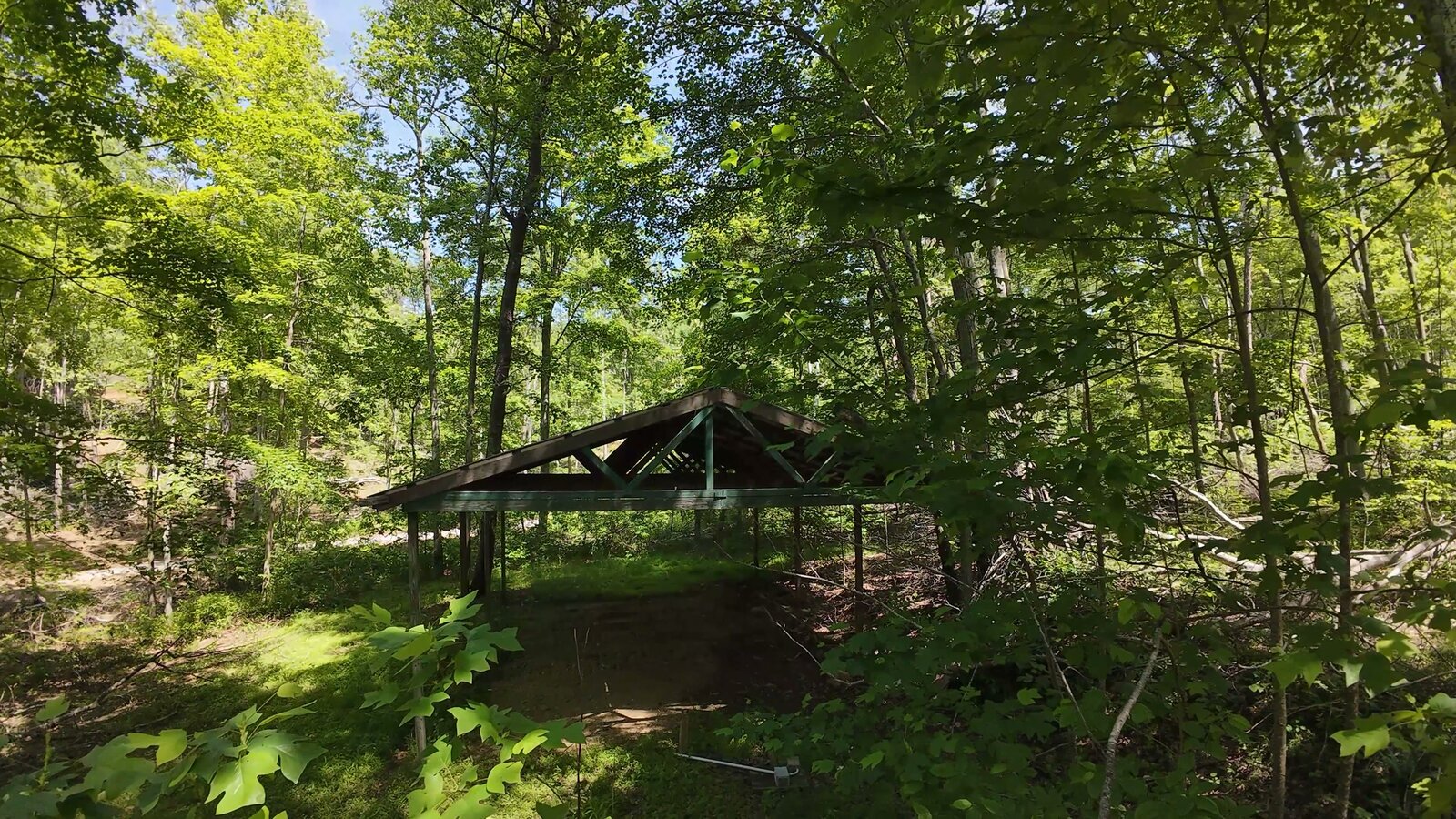 0 Moats Hollow Rd - 38 Acres in Pike County, OH - Photo 5