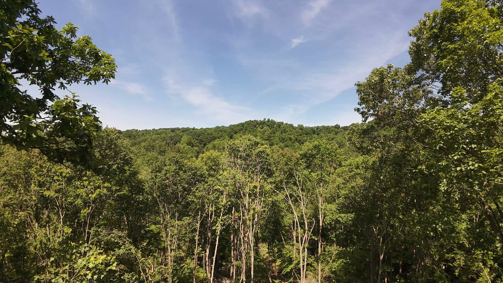 0 Moats Hollow Rd - 38 Acres in Pike County, OH - Photo 10