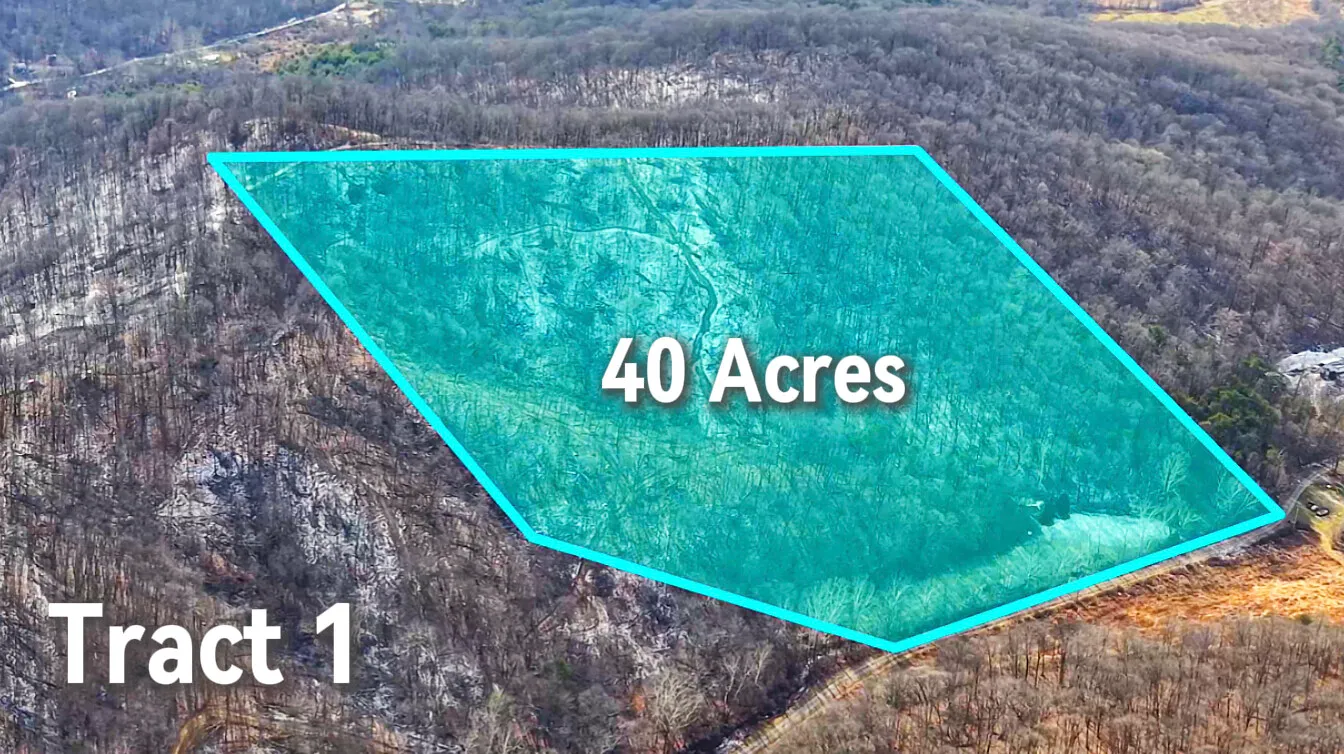 40 Acres in Pike County, OH - Moats Hollow Road Tract 1 - Photo 3