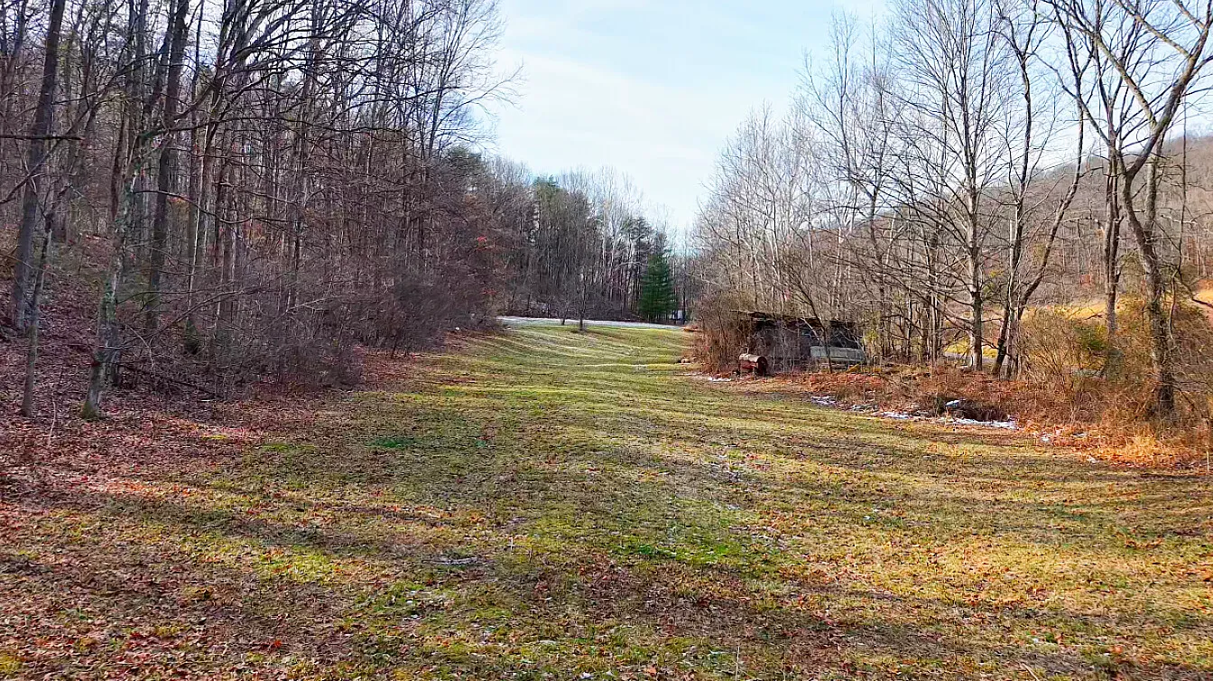 40 Acres in Pike County, OH - Moats Hollow Road Tract 1 - Photo 4