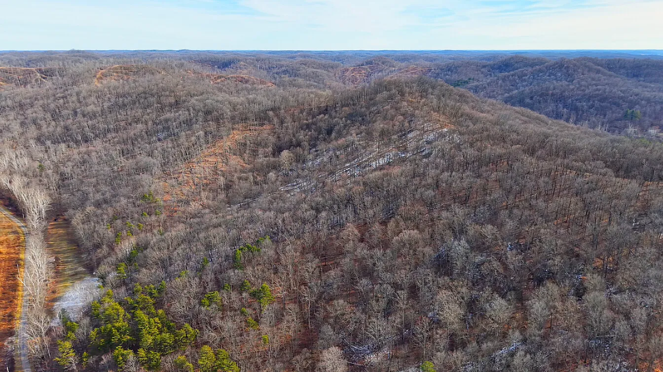 40 Acres in Pike County, OH - Moats Hollow Road Tract 1 - Photo 5