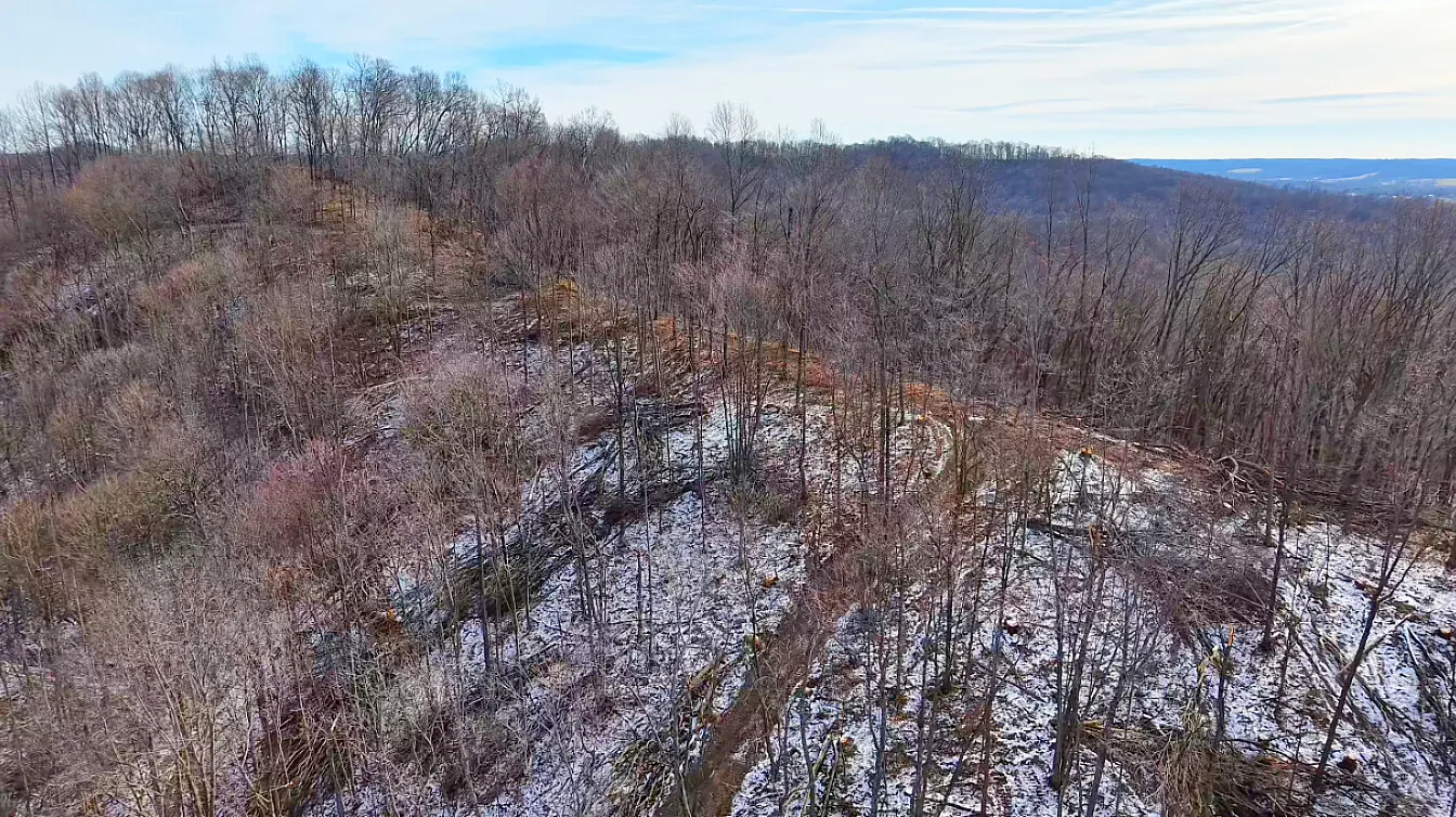 40 Acres in Pike County, OH - Moats Hollow Road Tract 1 - Photo 6