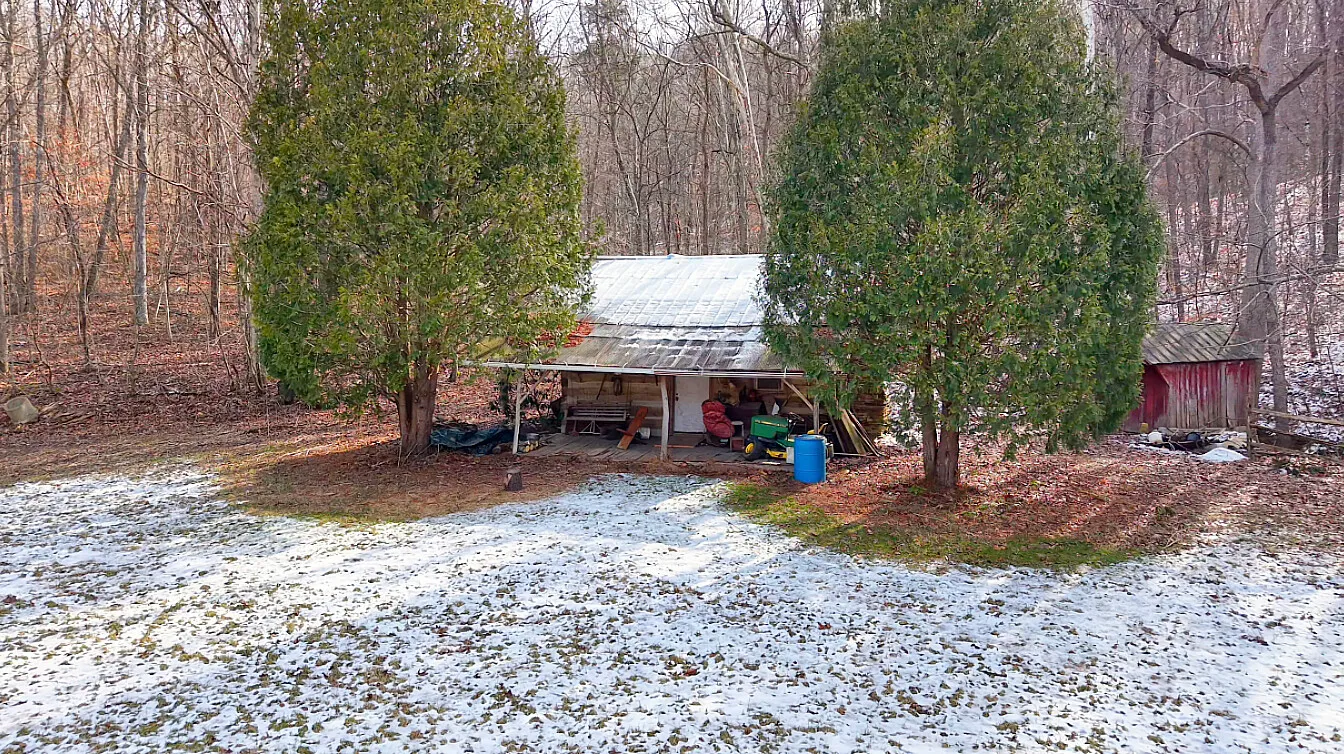 40 Acres in Pike County, OH - Moats Hollow Road Tract 1 - Photo 7