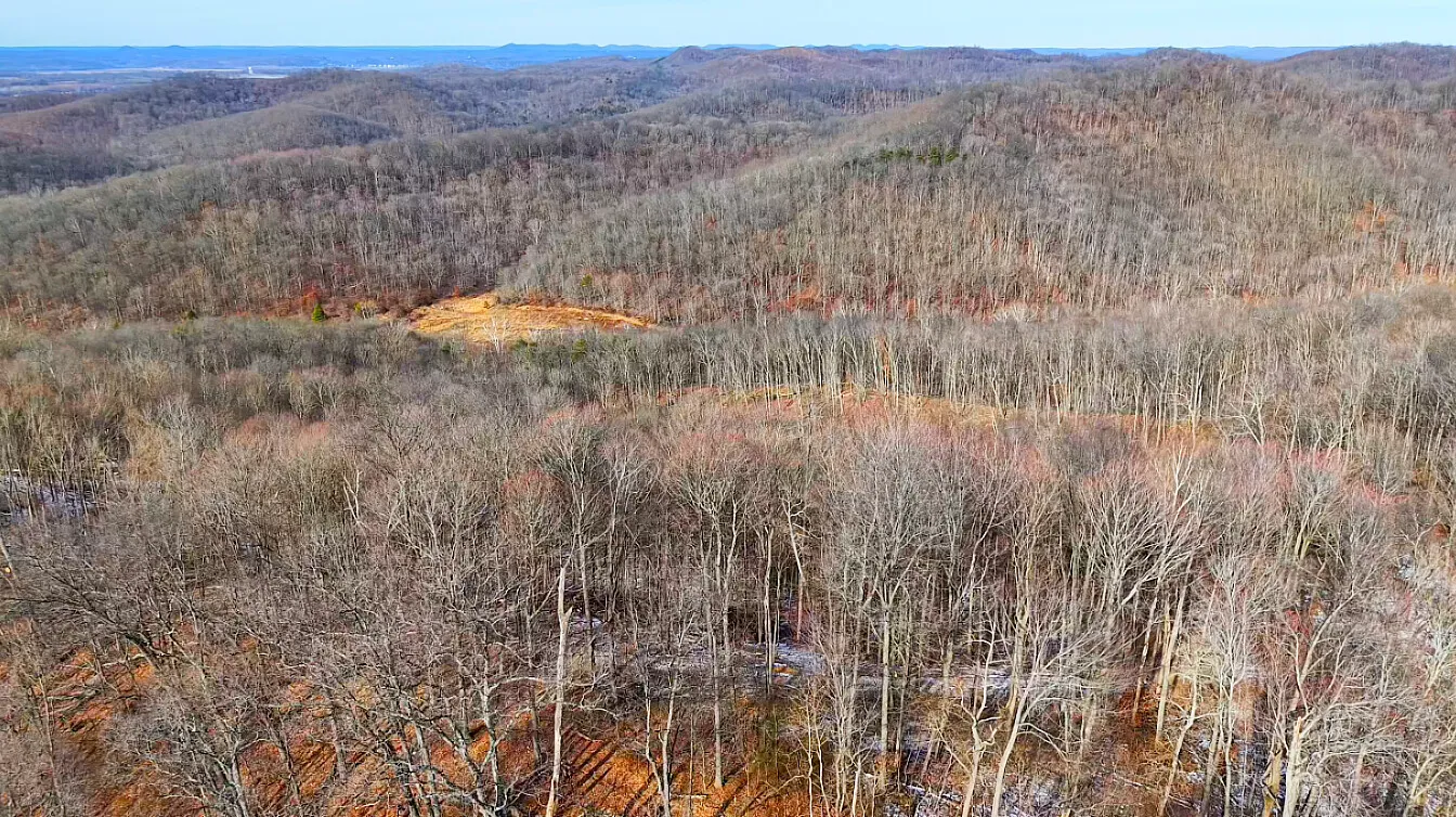 40 Acres in Pike County, OH - Moats Hollow Road Tract 1 - Photo 9