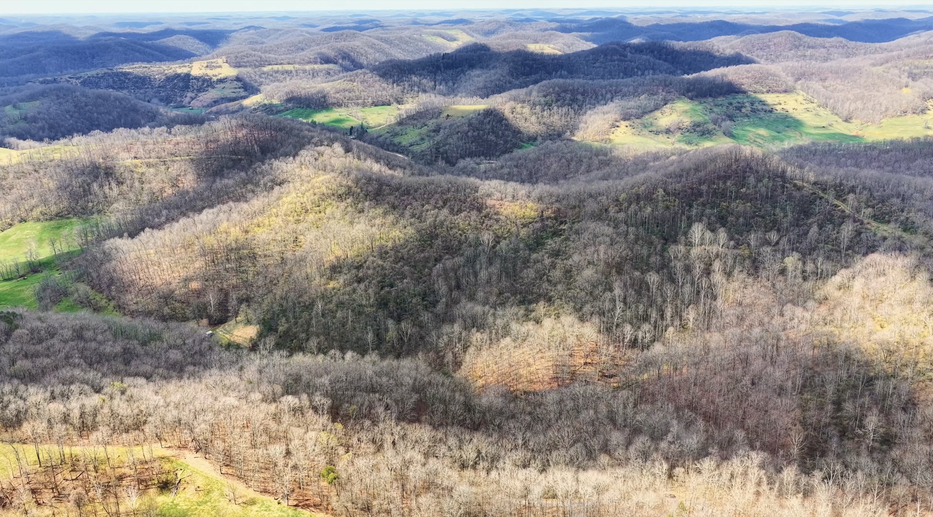 0 Wolfpen Run Road - 41 Acres in Gilmer County, WV - Photo 2