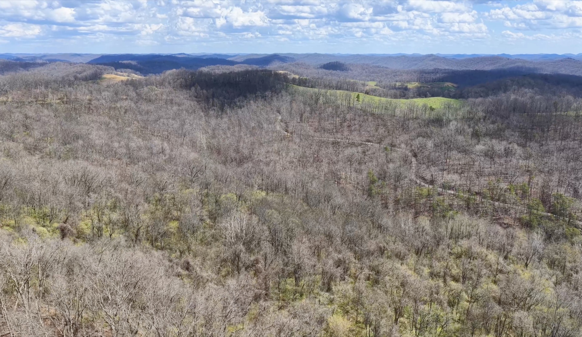0 Wolfpen Run Road - 41 Acres in Gilmer County, WV - Photo 11