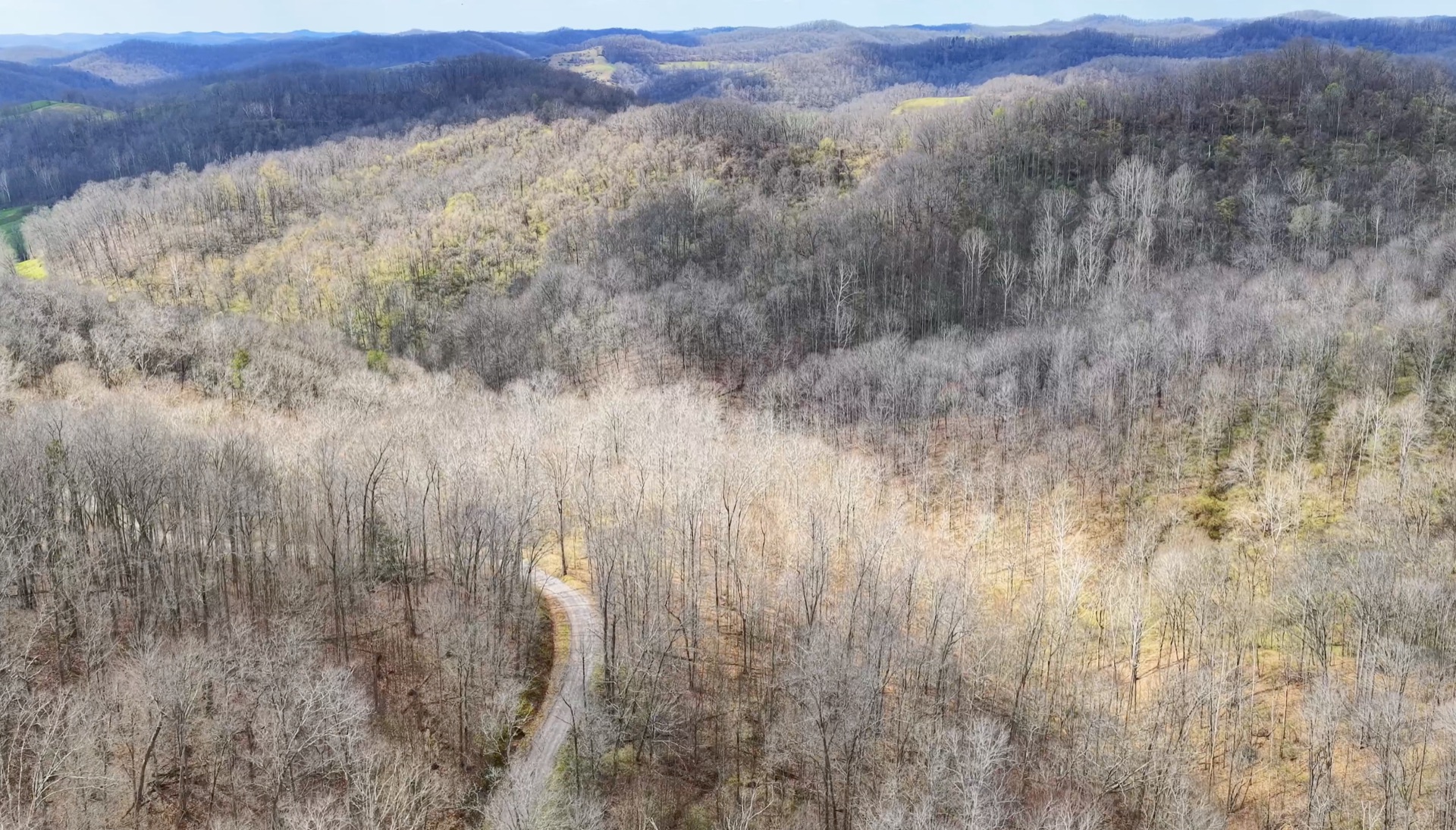 0 Wolfpen Run Road - 41 Acres in Gilmer County, WV - Photo 12