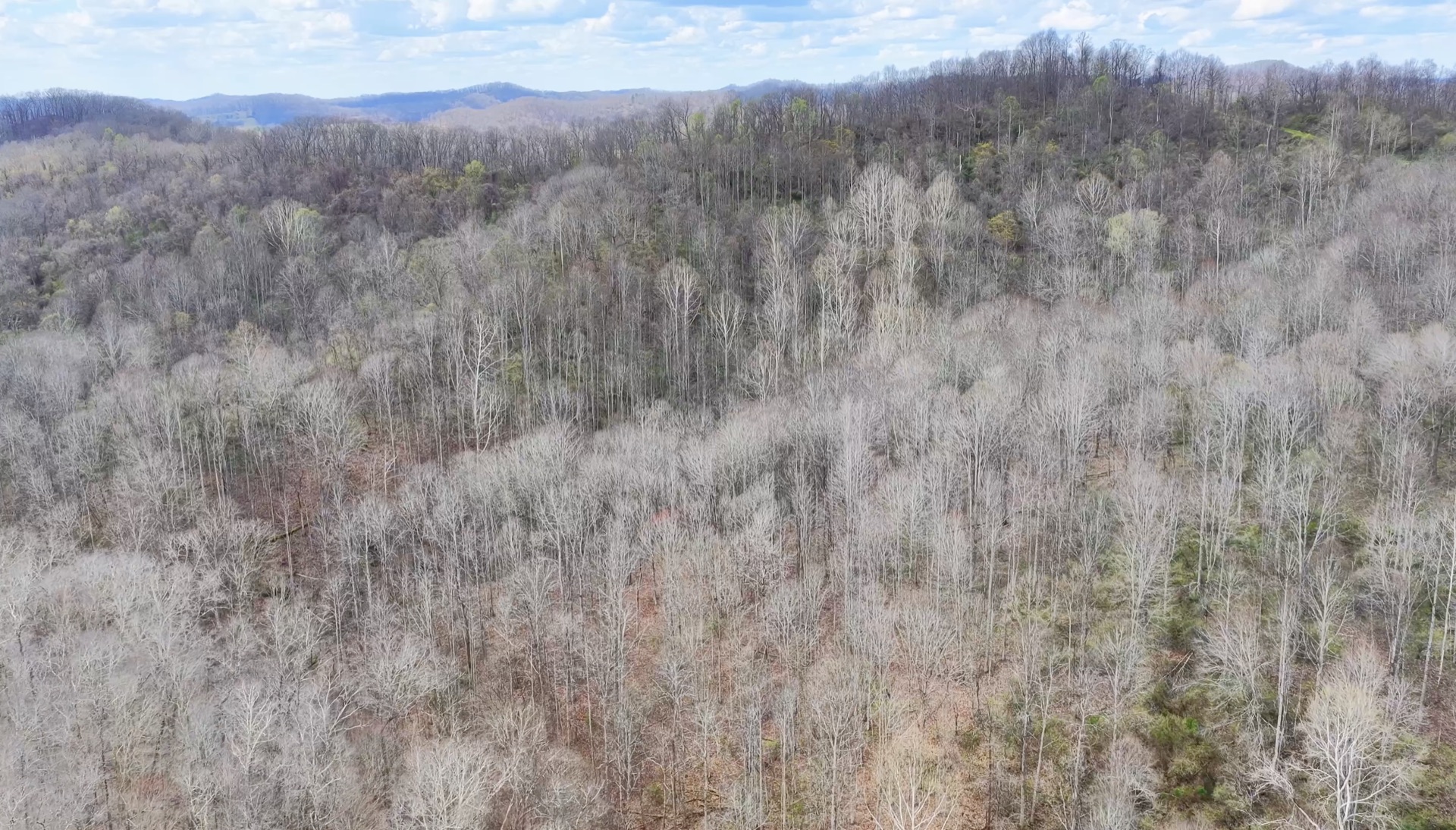 0 Wolfpen Run Road - 41 Acres in Gilmer County, WV - Photo 14