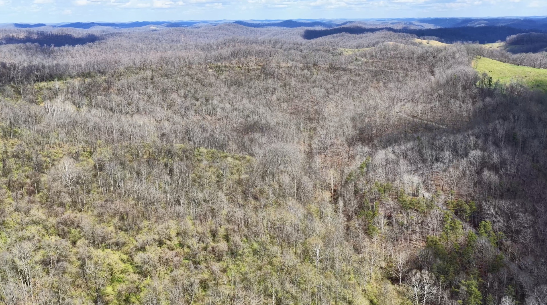 0 Wolfpen Run Road - 41 Acres in Gilmer County, WV - Photo 15