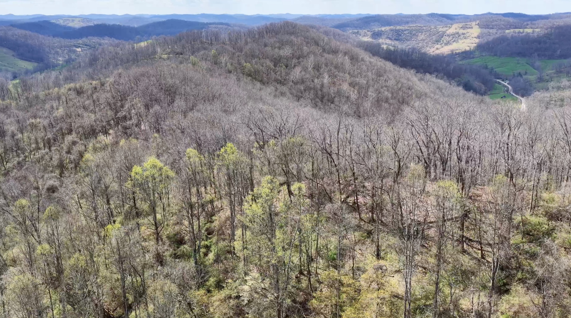 0 Wolfpen Run Road - 41 Acres in Gilmer County, WV - Photo 16