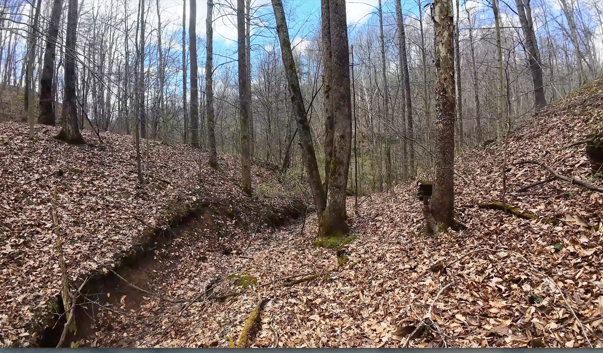 0 Wolfpen Run Road - 41 Acres in Gilmer County, WV - Photo 17