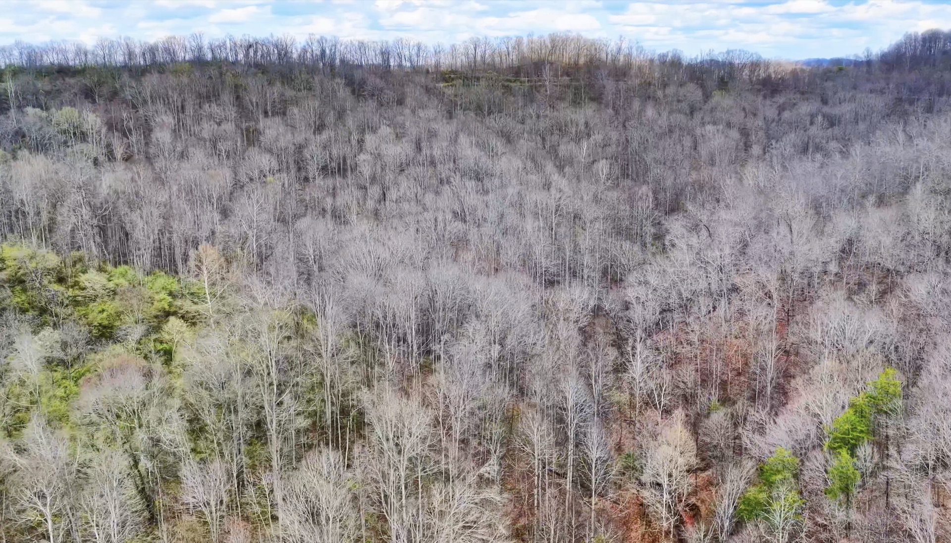 0 Wolfpen Run Road - 41 Acres in Gilmer County, WV - Photo 18