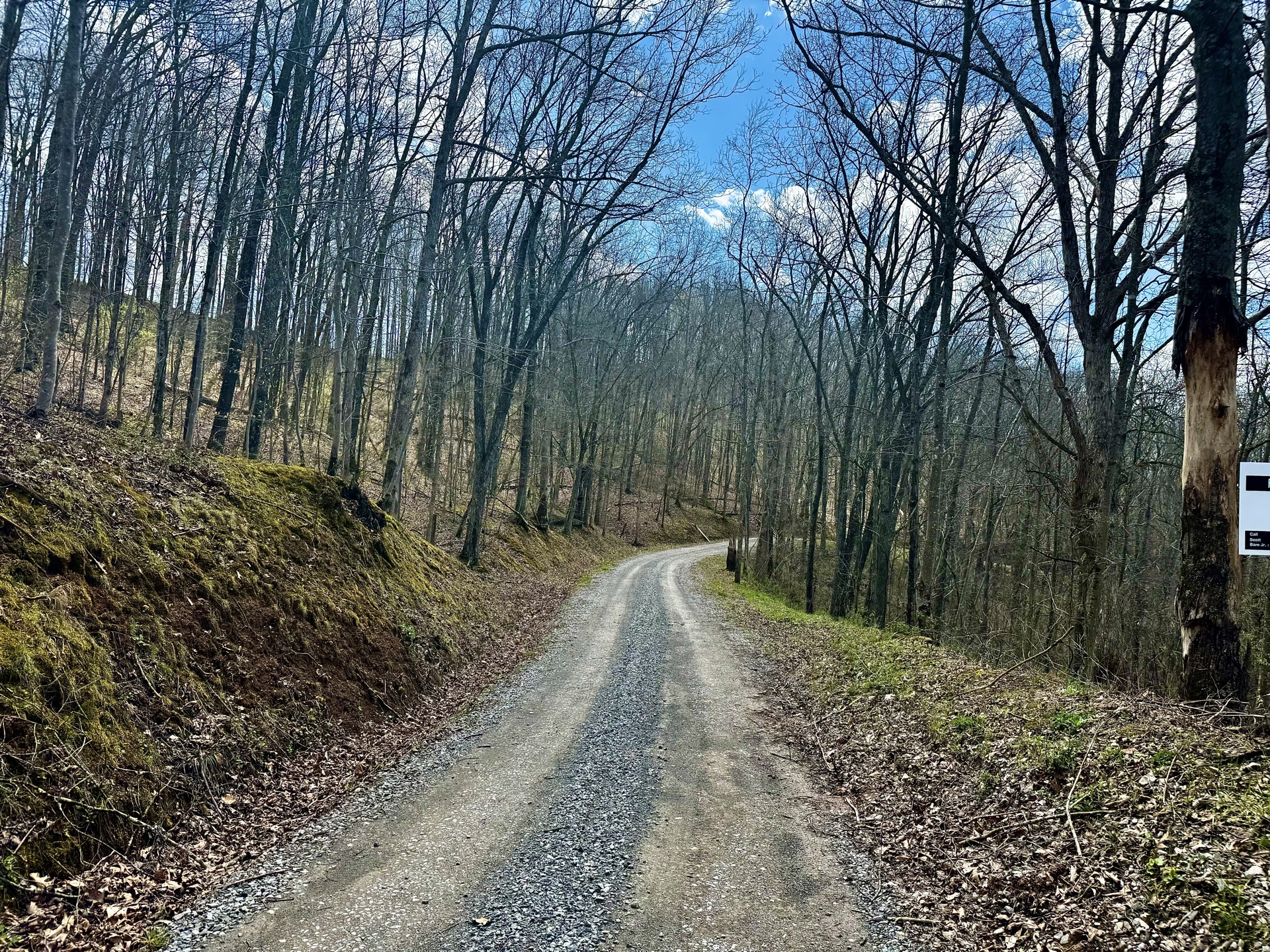 0 Wolfpen Run Road - 41 Acres in Gilmer County, WV - Photo 19