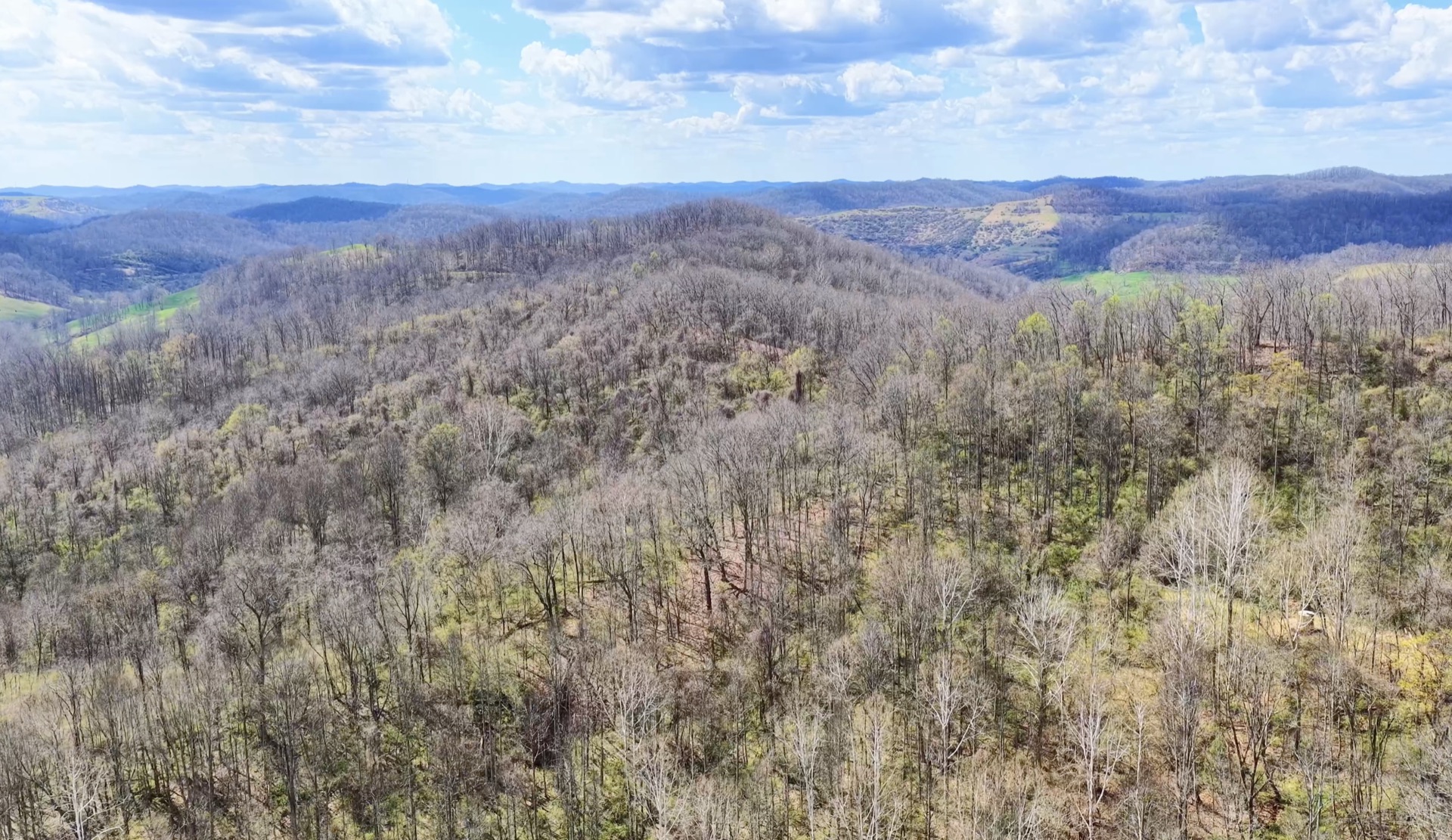 0 Wolfpen Run Road - 41 Acres in Gilmer County, WV - Photo 3