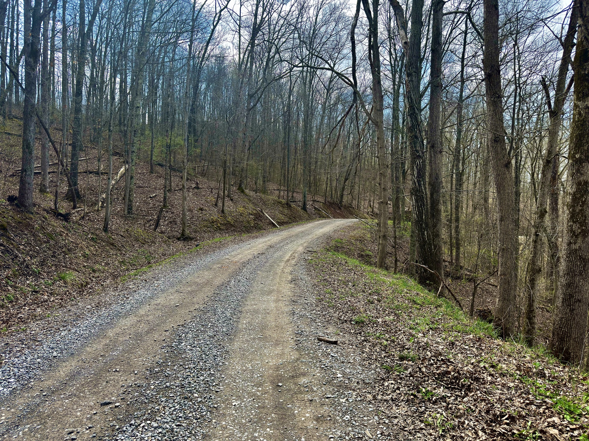 0 Wolfpen Run Road - 41 Acres in Gilmer County, WV - Photo 25