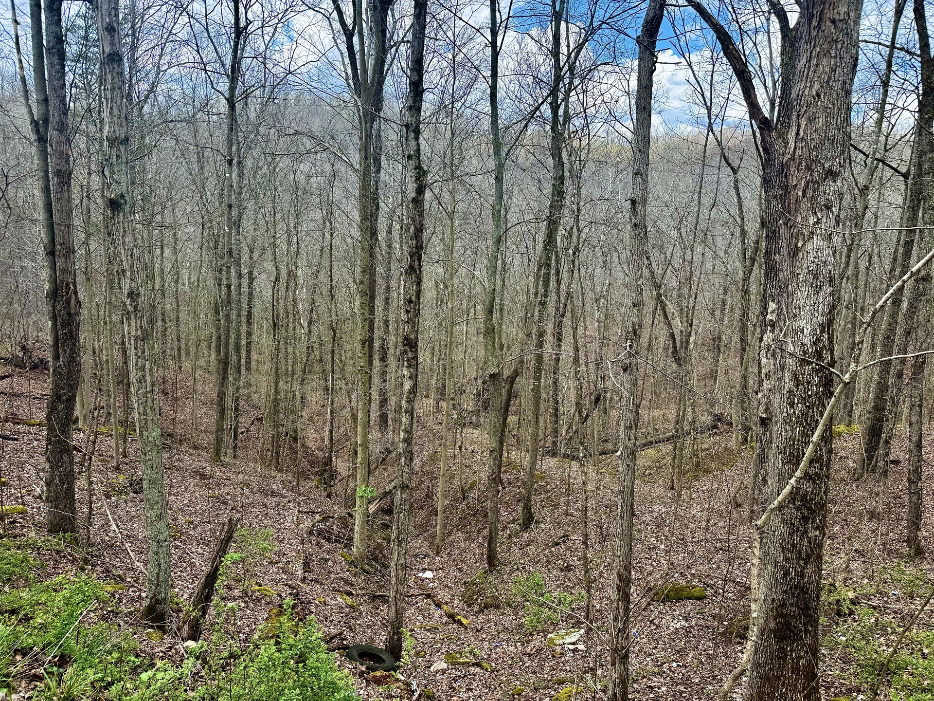 0 Wolfpen Run Road - 41 Acres in Gilmer County, WV - Photo 26