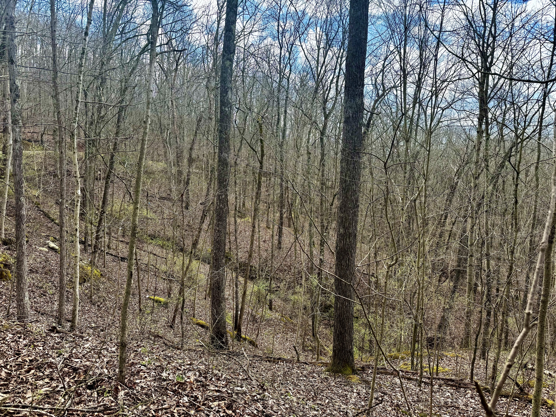 0 Wolfpen Run Road - 41 Acres in Gilmer County, WV - Photo 29