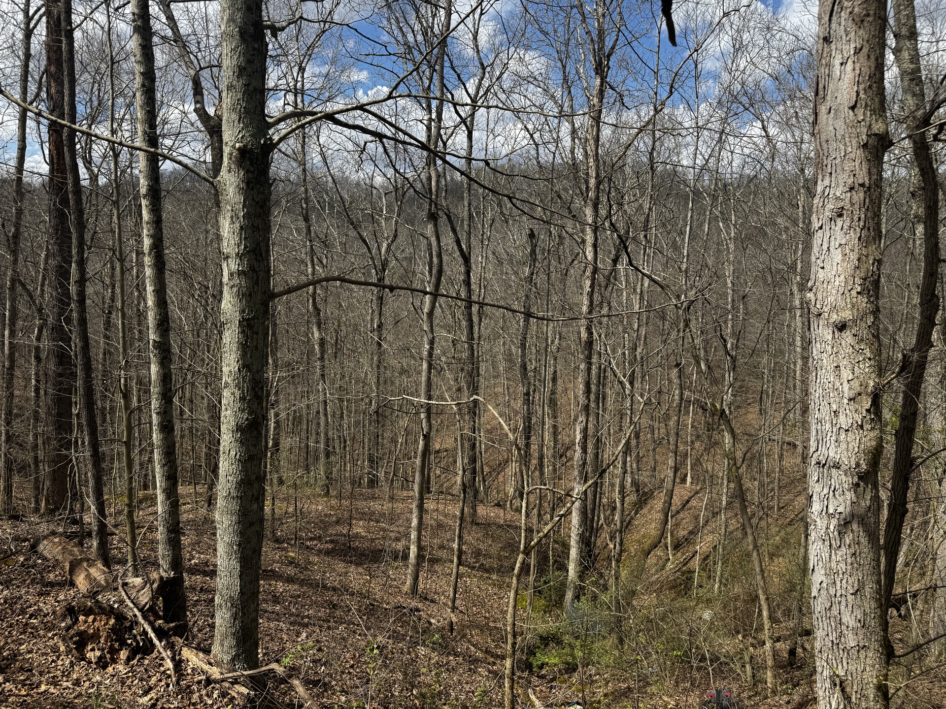 0 Wolfpen Run Road - 41 Acres in Gilmer County, WV - Photo 30