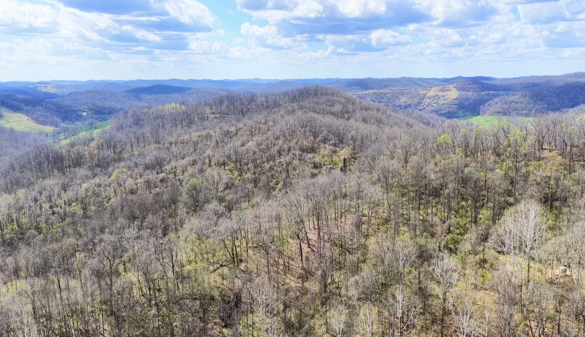 0 Wolfpen Run Road - 41 Acres in Gilmer County, WV - Photo 6