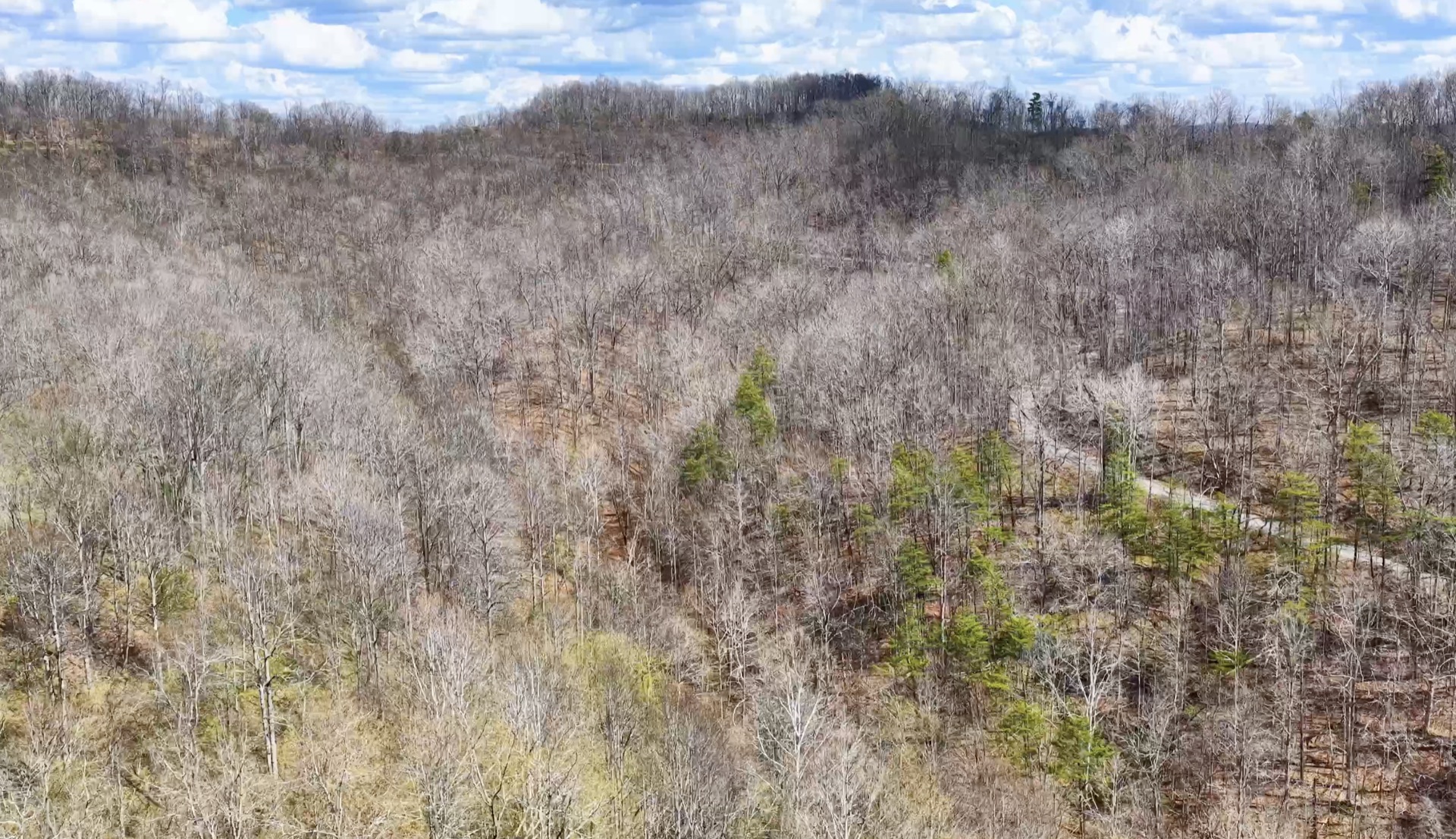 0 Wolfpen Run Road - 41 Acres in Gilmer County, WV - Photo 7