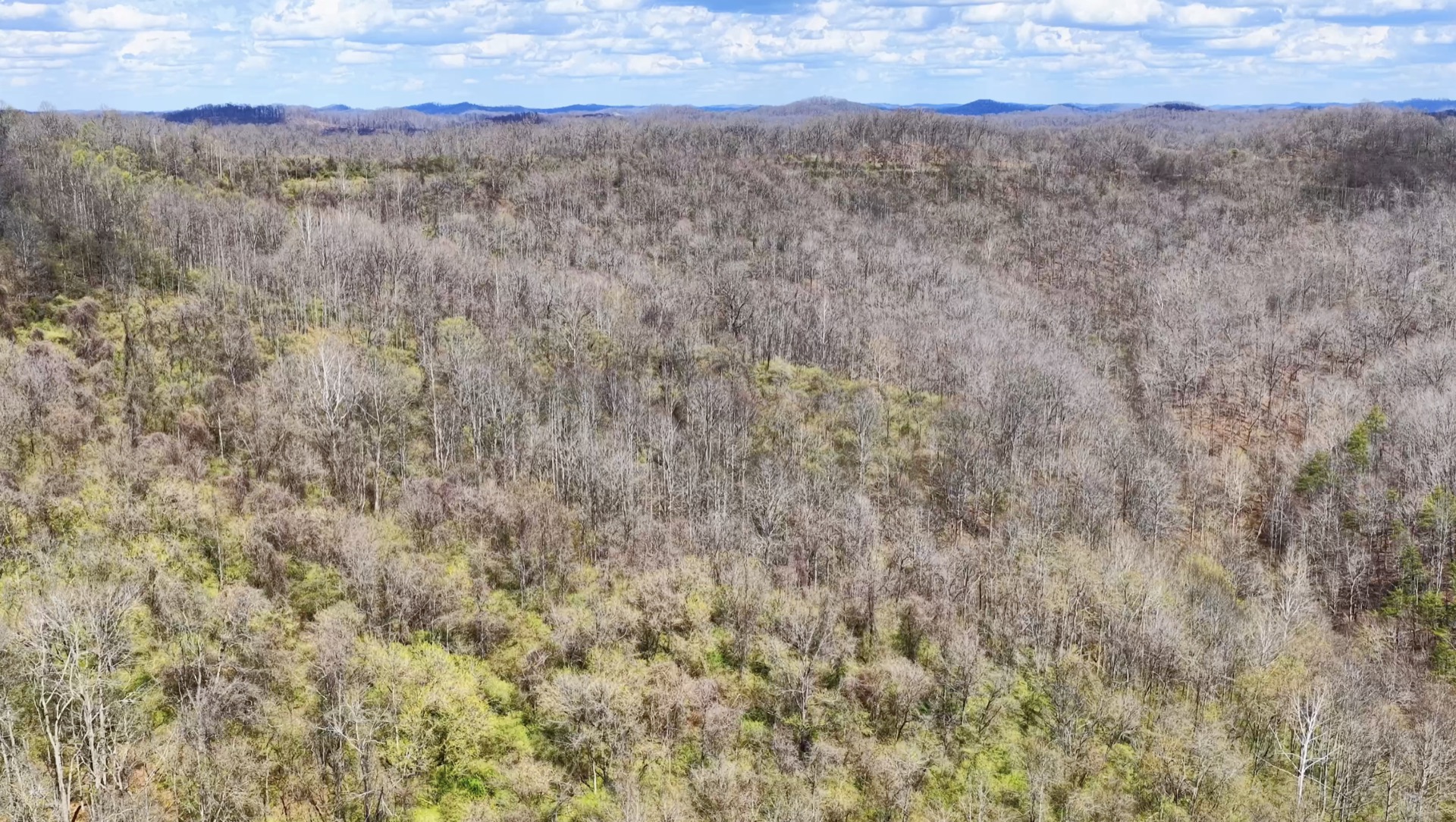 0 Wolfpen Run Road - 41 Acres in Gilmer County, WV - Photo 9