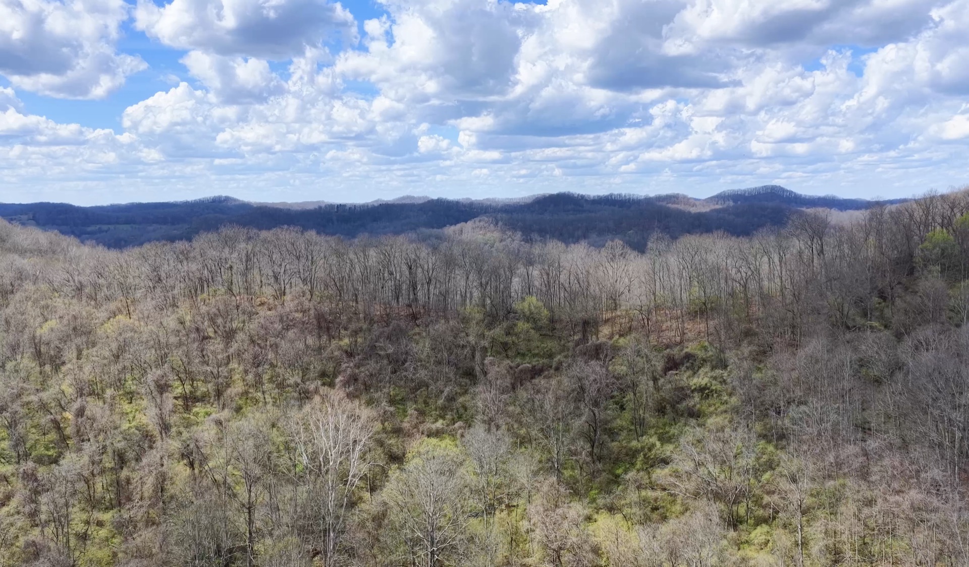 0 Wolfpen Run Road - 41 Acres in Gilmer County, WV - Photo 10