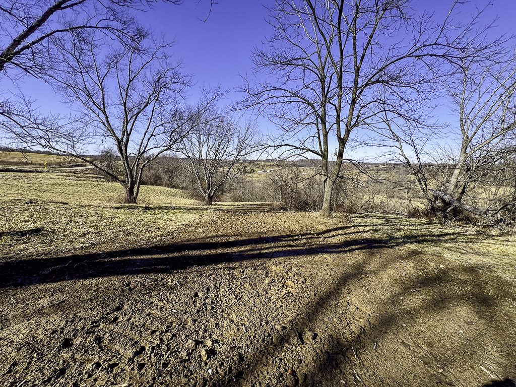 0 SR 376 Tract 5 - 41 Acres in Morgan County, OH - Photo 11