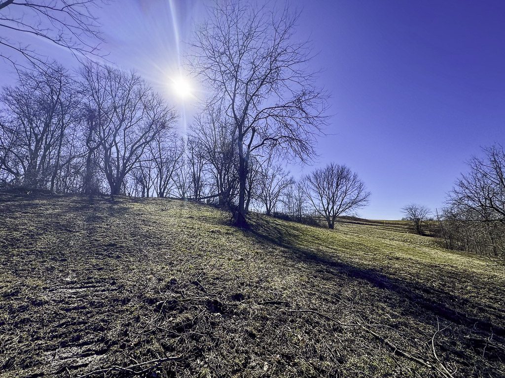 0 SR 376 Tract 5 - 41 Acres in Morgan County, OH - Photo 12