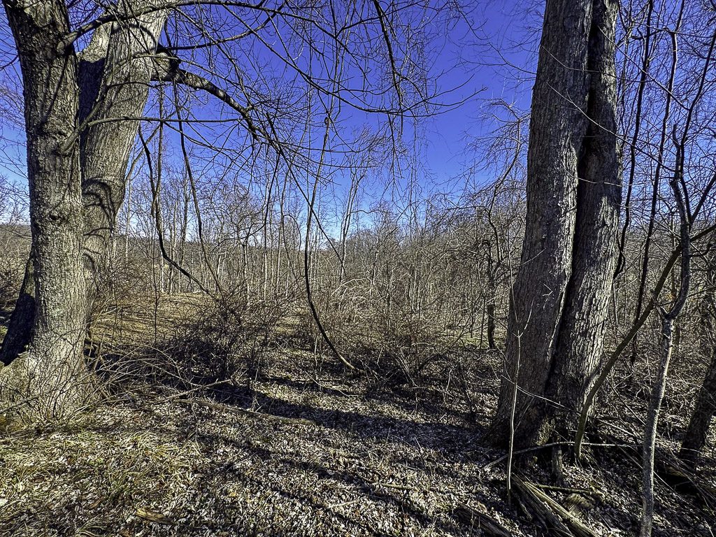 0 SR 376 Tract 5 - 41 Acres in Morgan County, OH - Photo 13