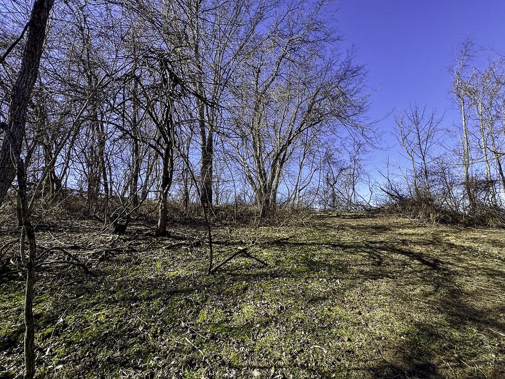 0 SR 376 Tract 5 - 41 Acres in Morgan County, OH - Photo 14